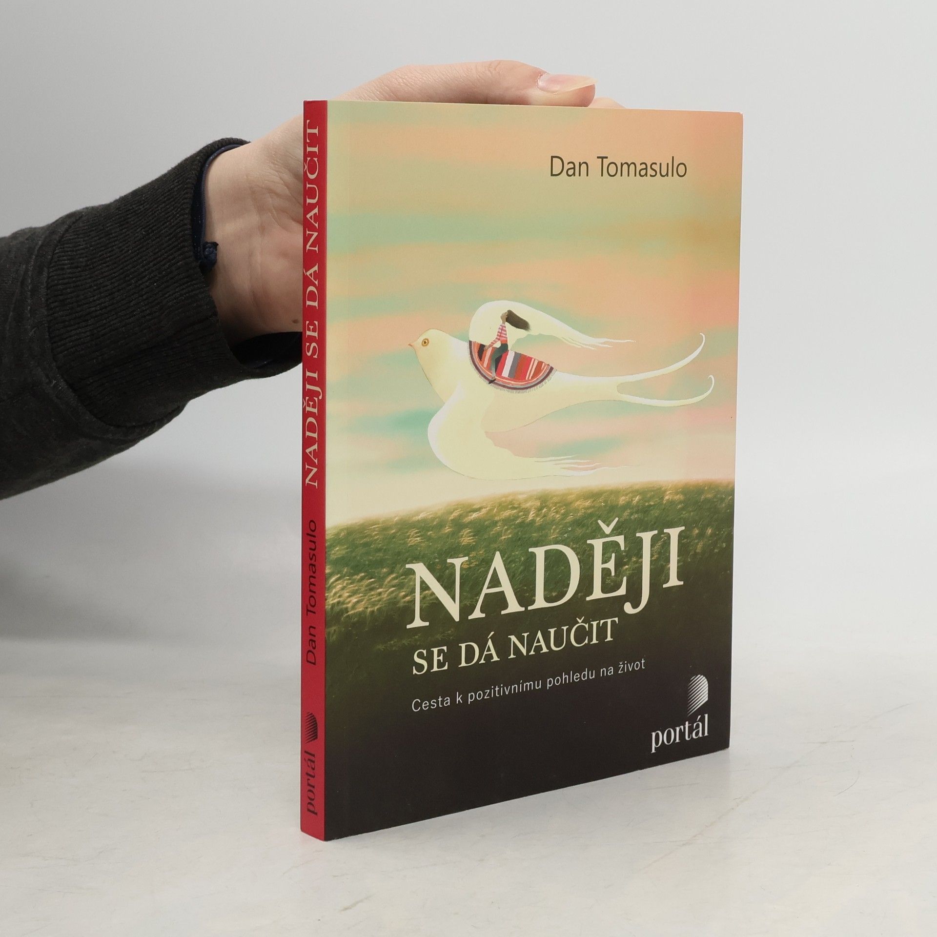 Daniel J. Tomasulo Naději se dá naučit : cesta k pozitivnímu pohledu na život