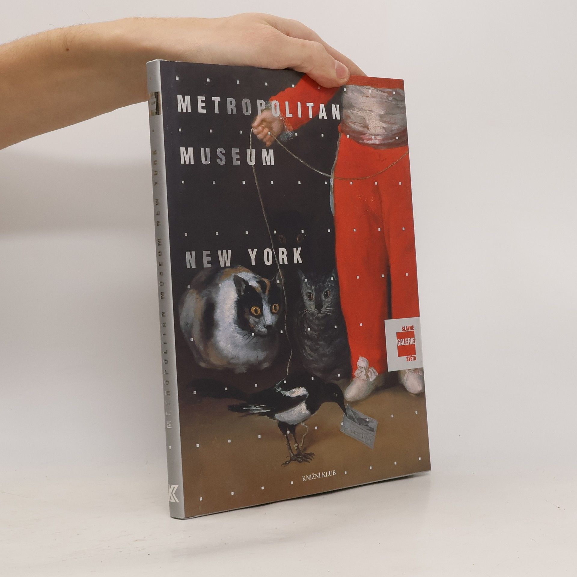 Lucia Impelluso Slavné galerie světa. Metropolitan Museum - New York