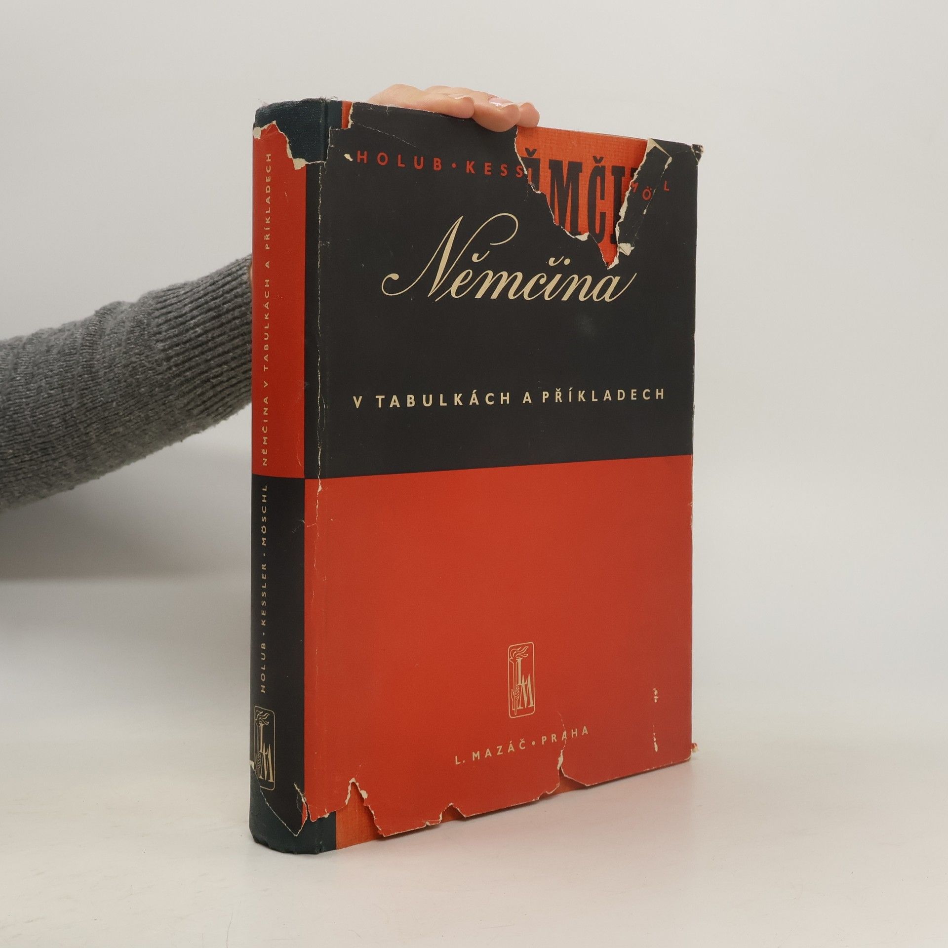 Kolektív autorov Němčina v tabulkách a příkladech