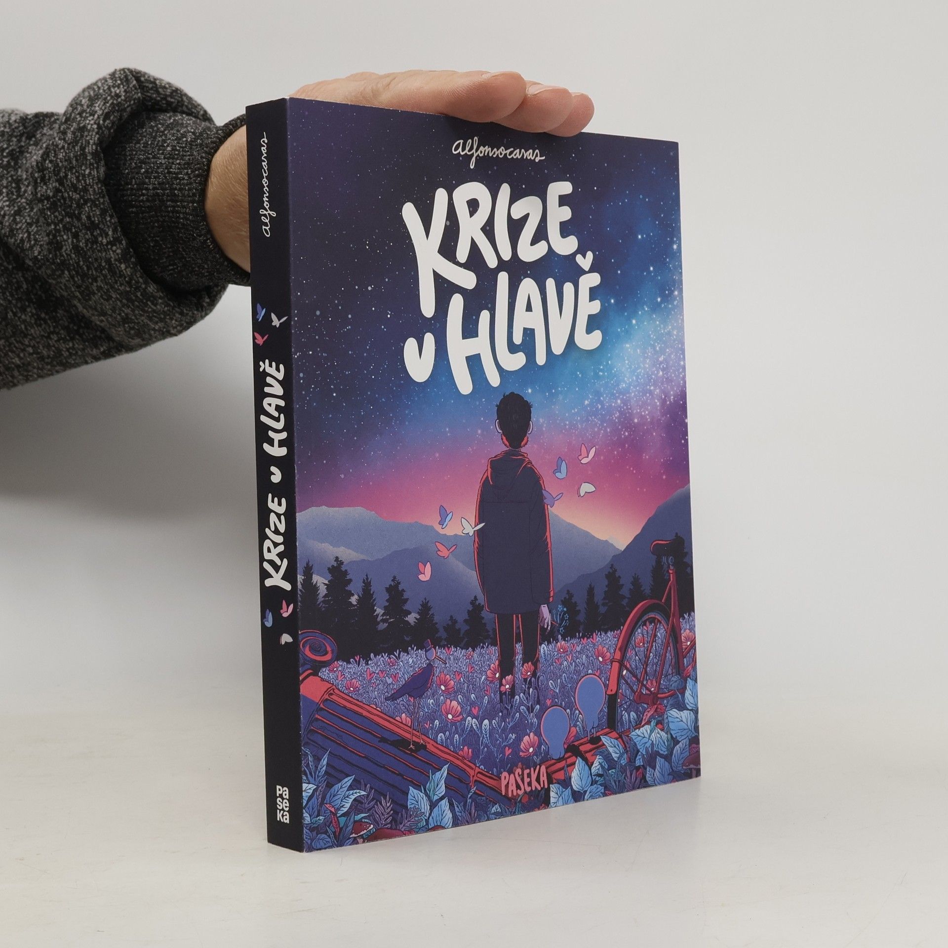 Alfonso Casas Krize v hlavě