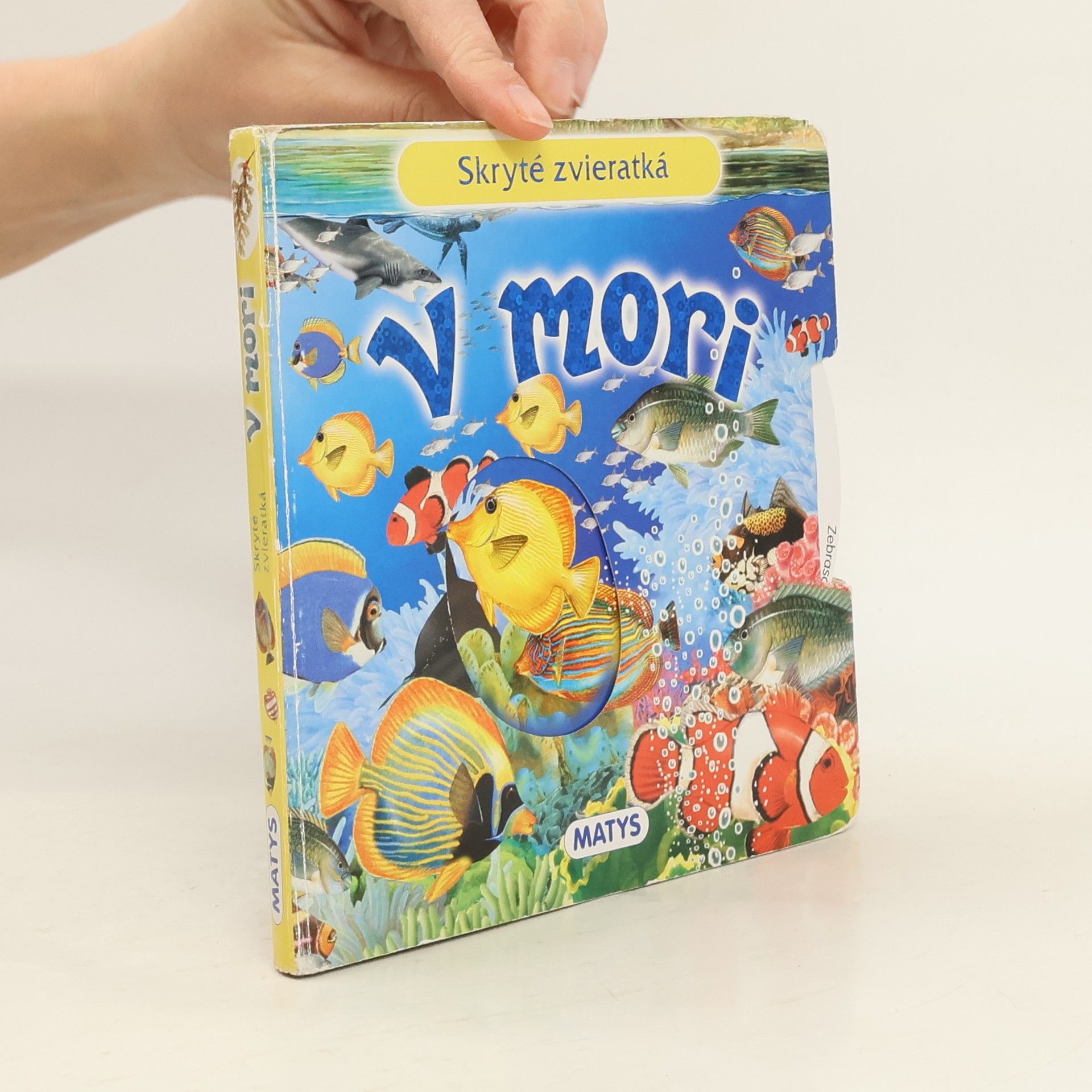 Skryté zvieratká. V mori