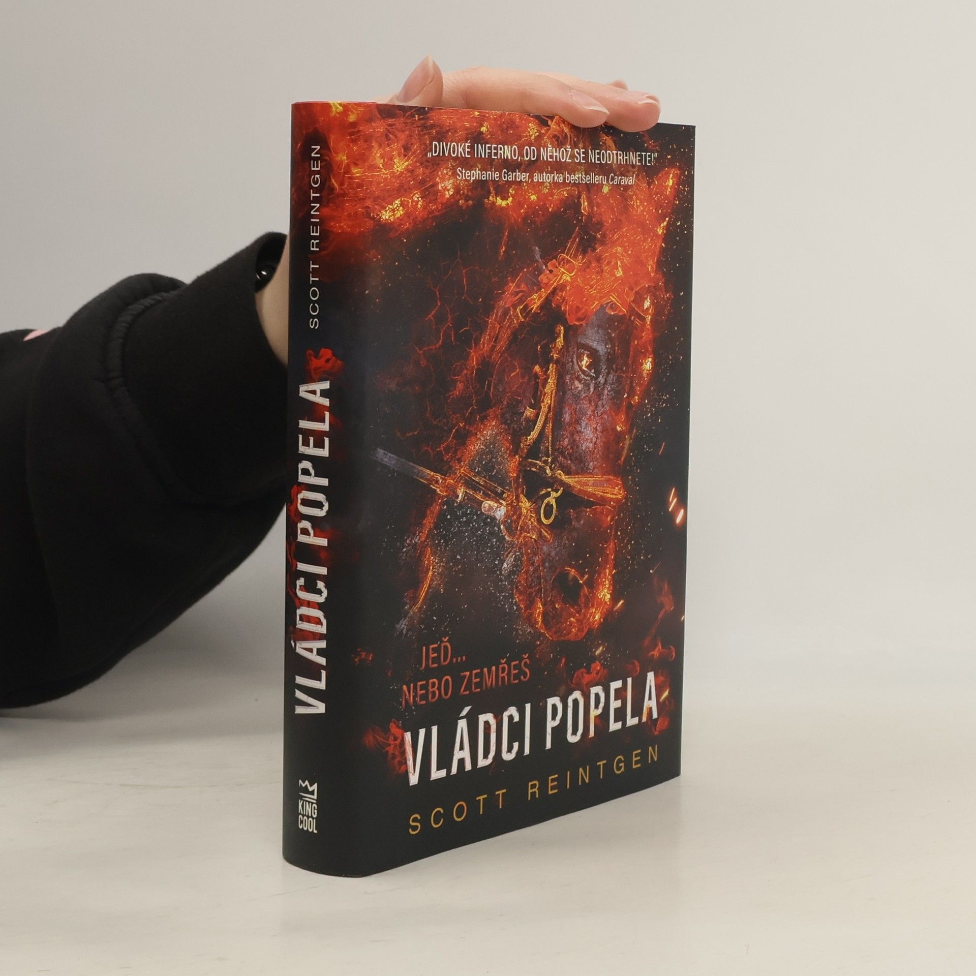 Scott Reintgen Vládci popela