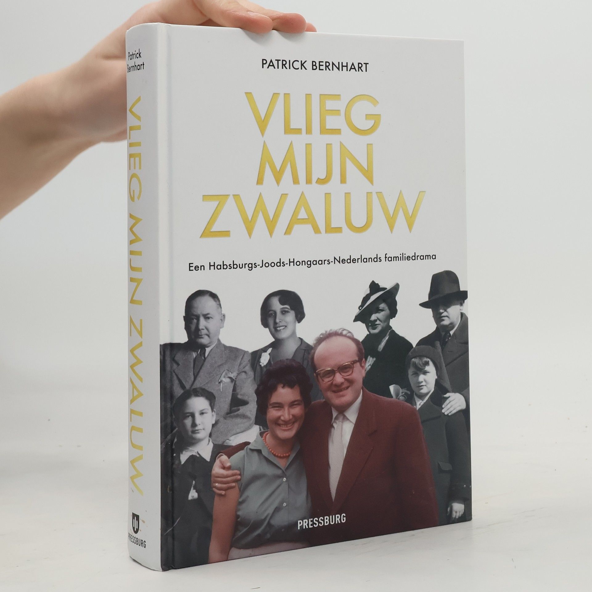 Patrick Bernhart Vlieg, mijn zwaluw