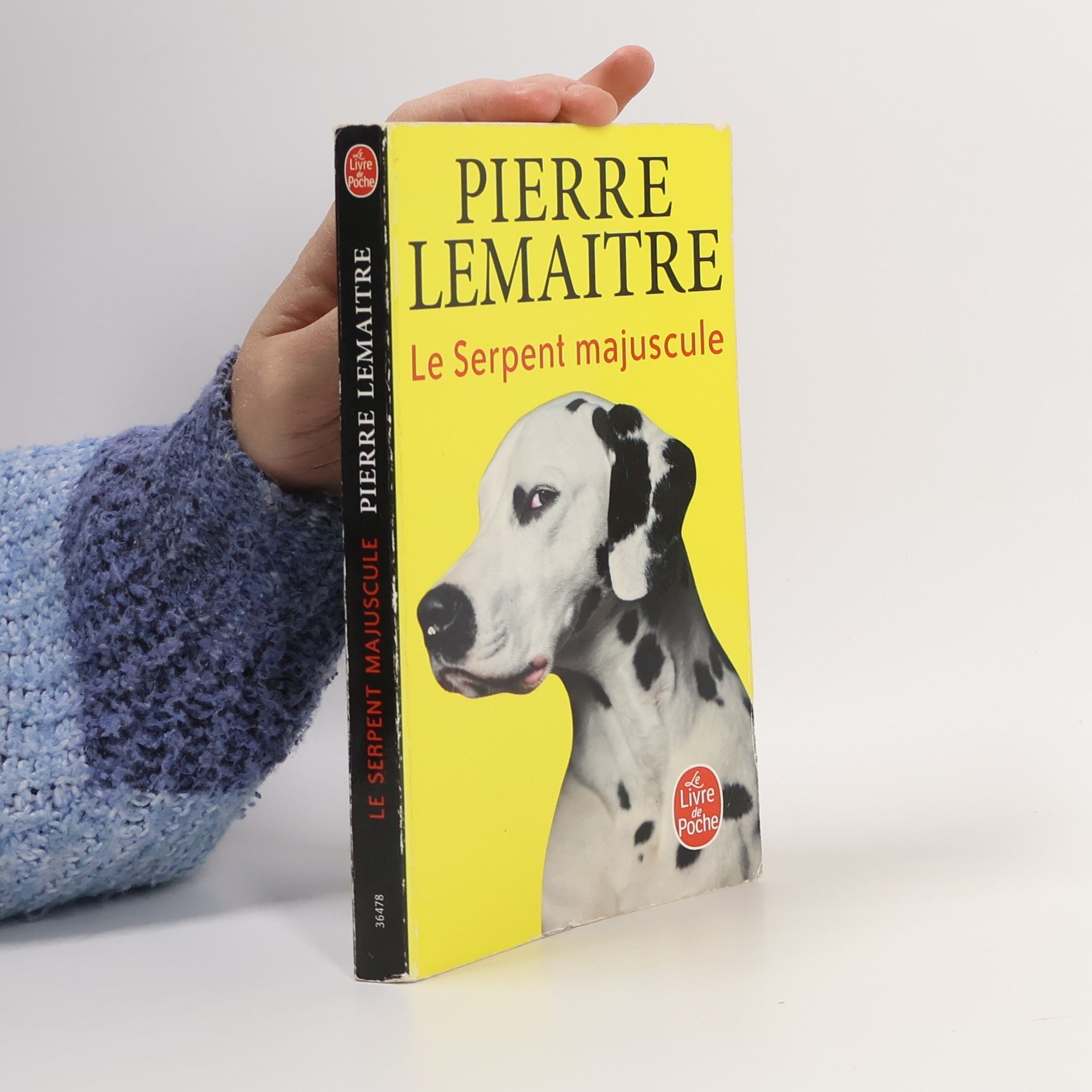 Pierre Lemaitre Le serpent majuscule