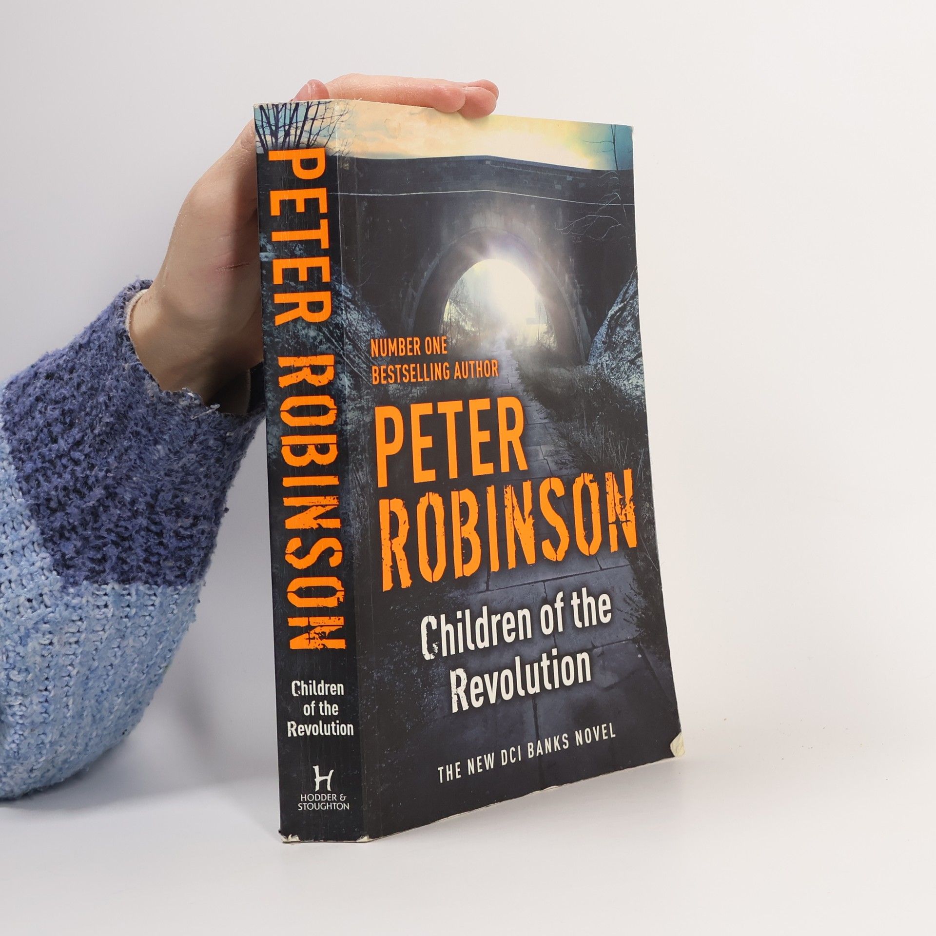 Peter Robinson DCI Banks: Children of the Revolution