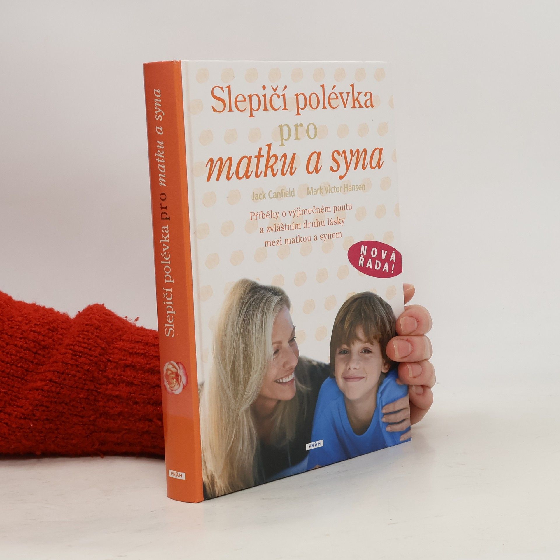Jack Canfield Slepičí polévka pro matku a syna