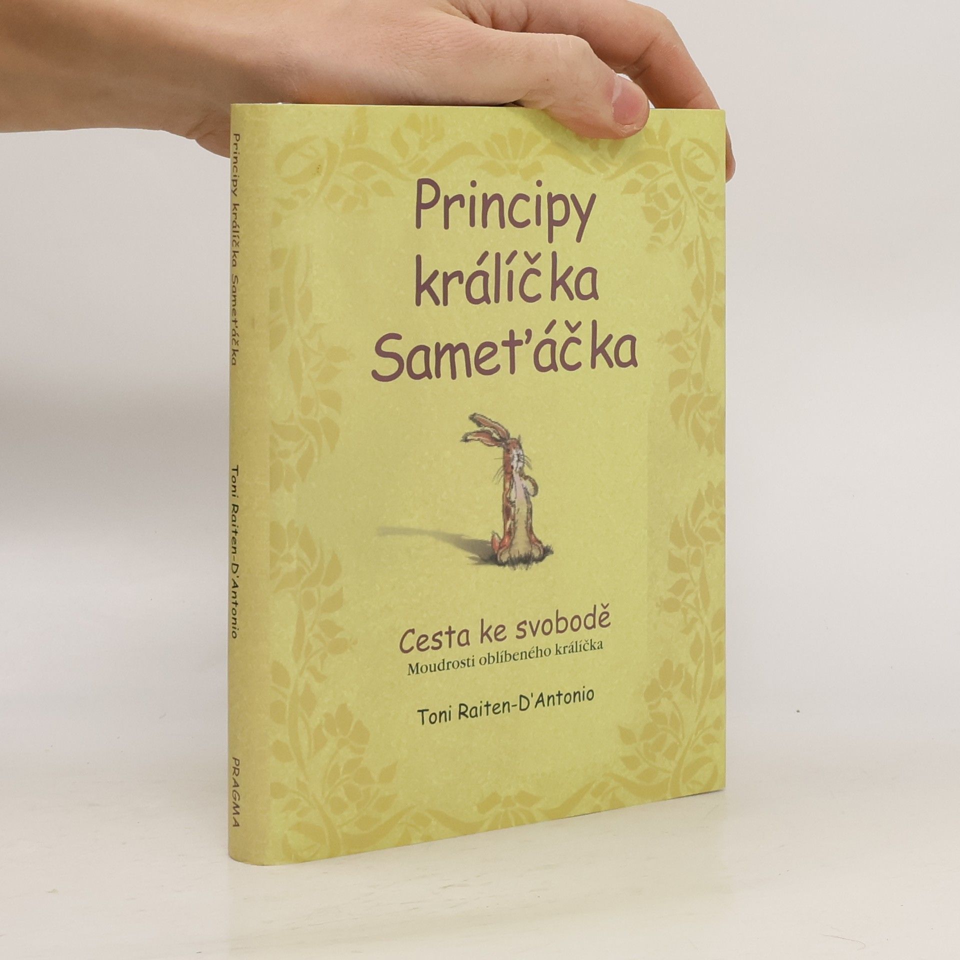 Toni Raiten D. Antonio Principy králíčka Sameťáčka