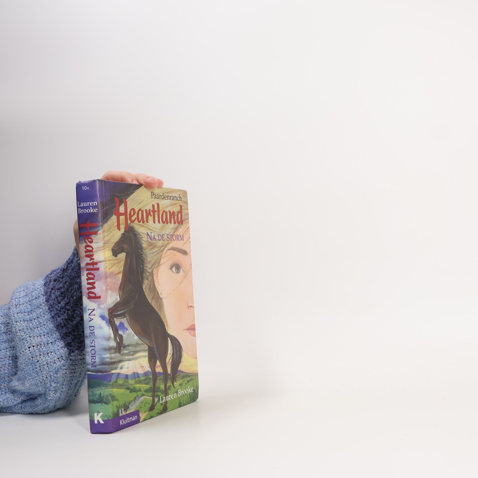 Lauren Brooke Heartland. Na de storm