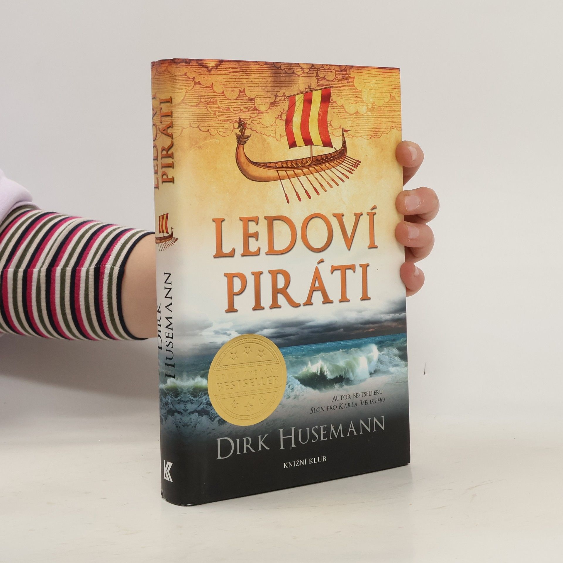 Dirk Husemann Ledoví piráti