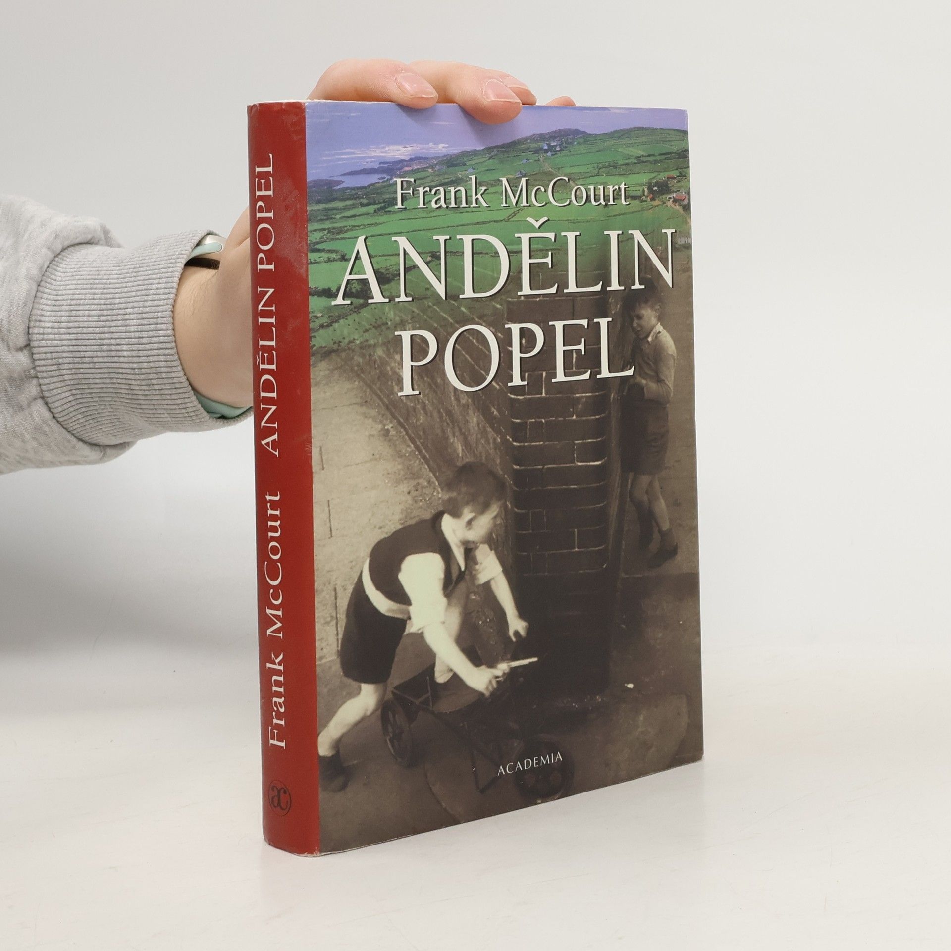 Frank McCourt Andělin popel