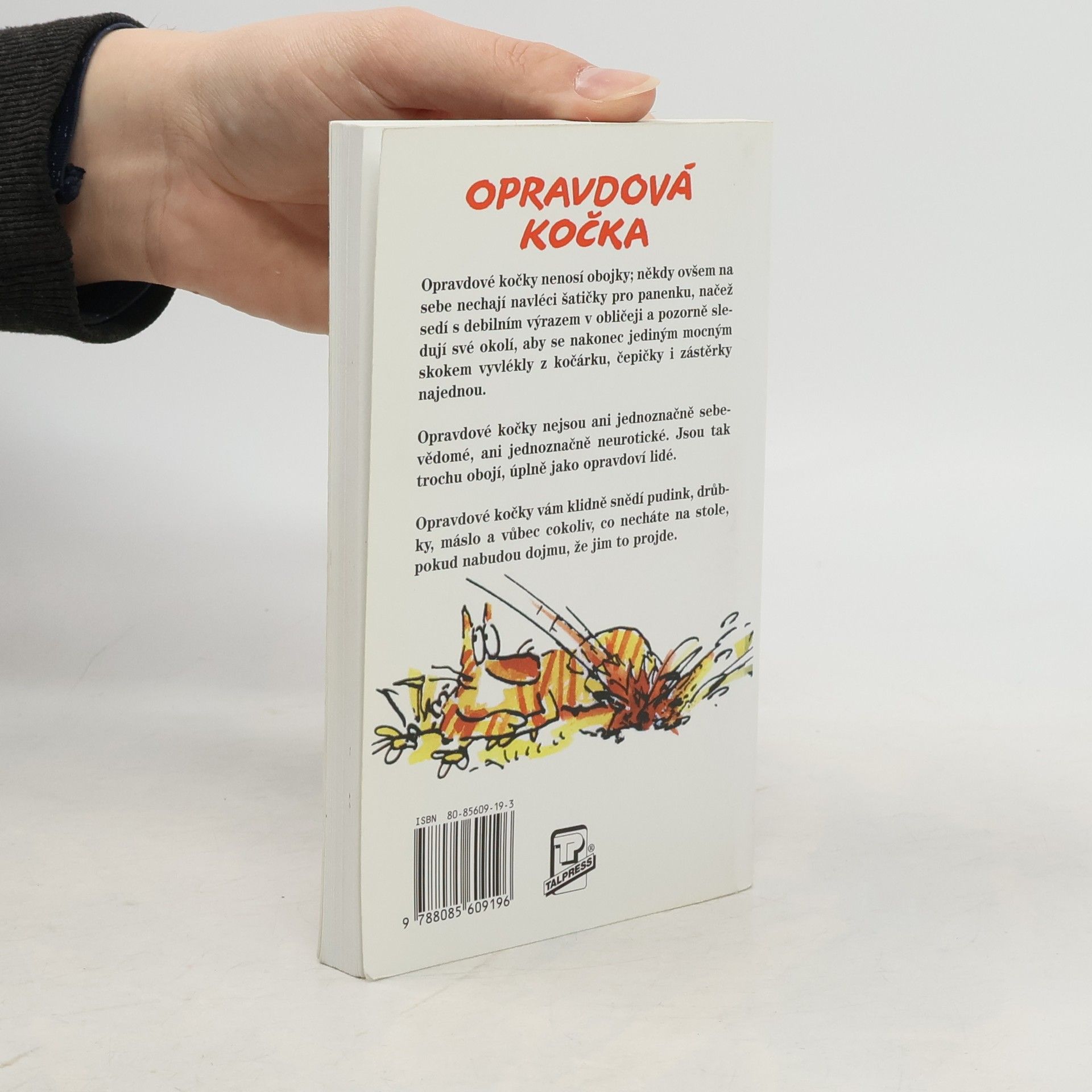 Terry Pratchett Nefalšovaná kočka