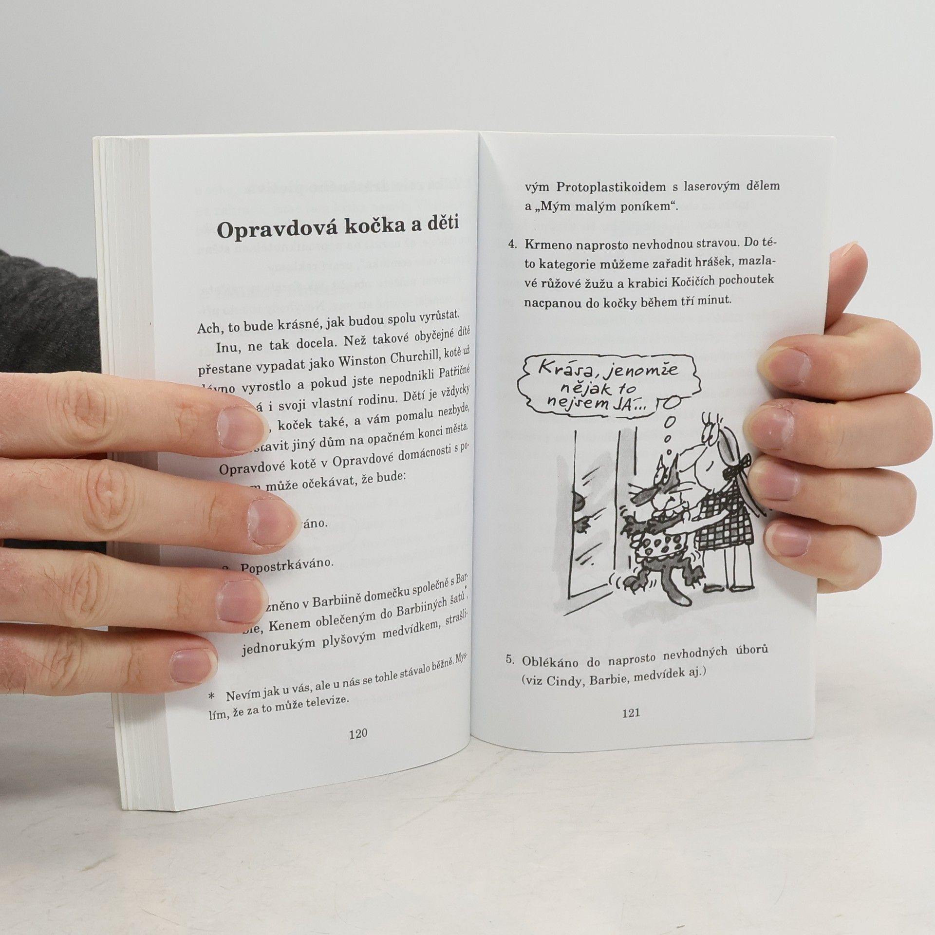 Terry Pratchett Nefalšovaná kočka