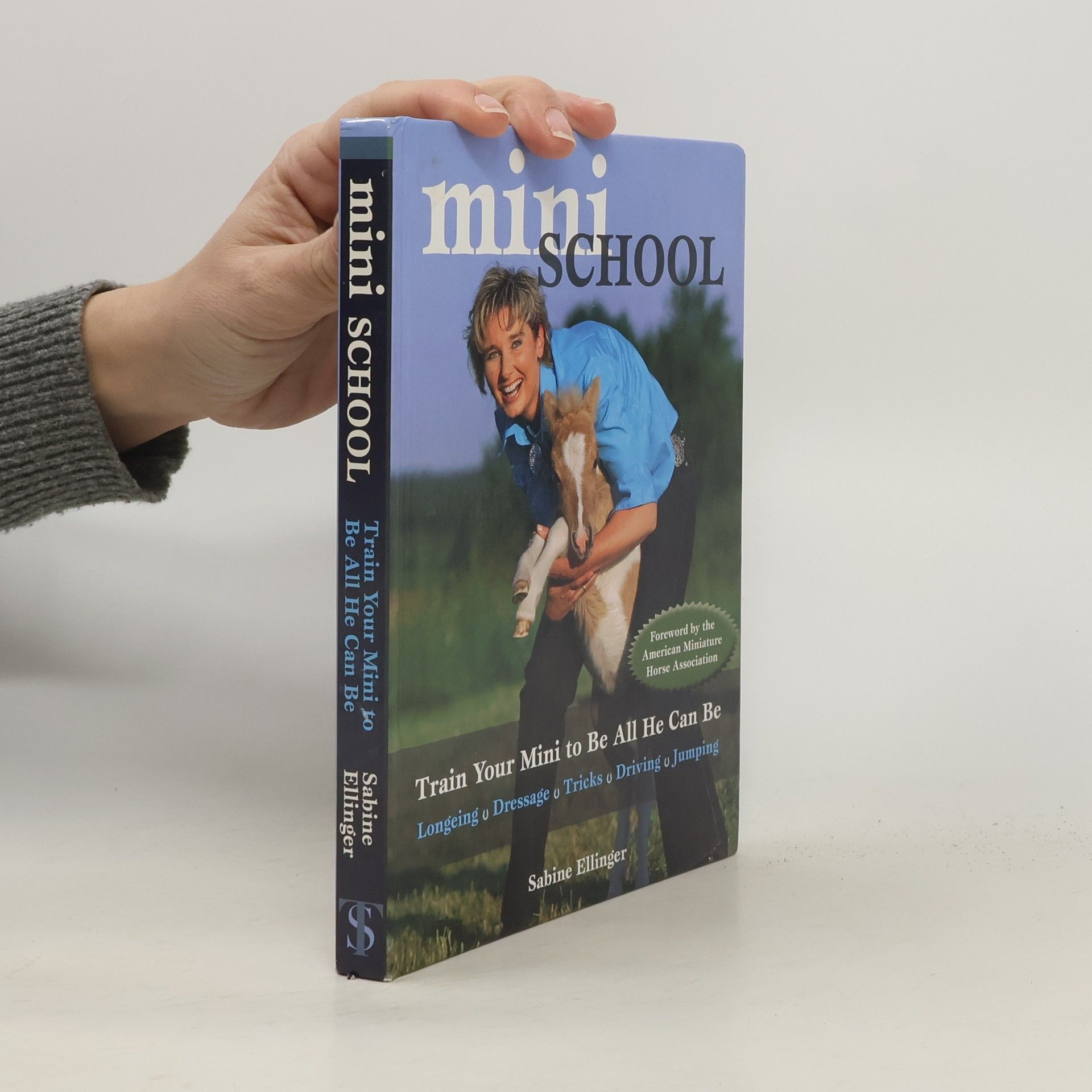 Sabine Ellinger Mini School