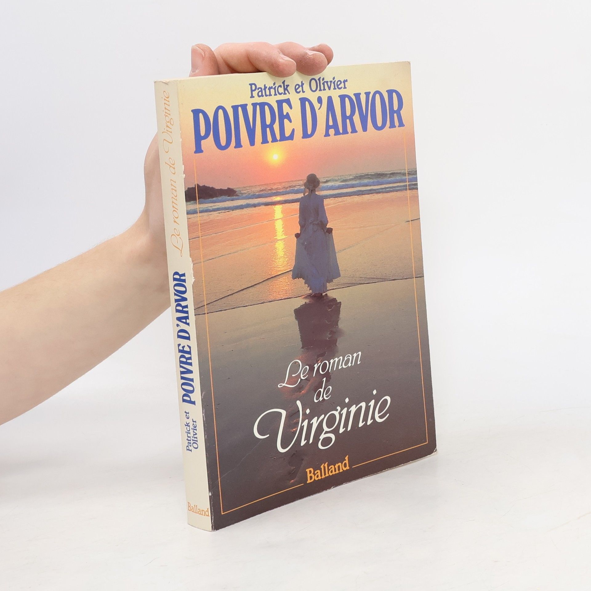 Patrick Poivre d'Arvor Le roman de Virginie