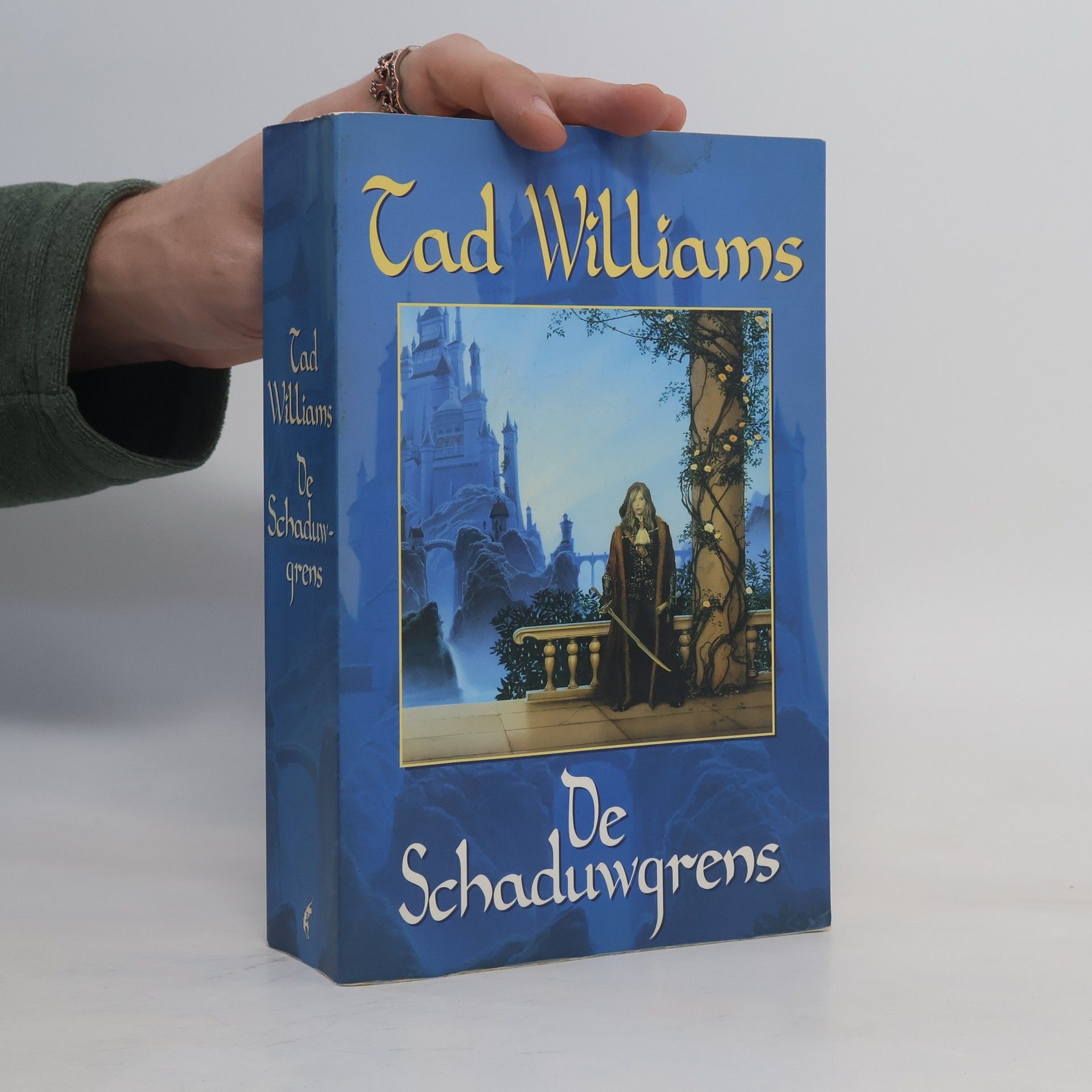 Tad Williams Schaduwwereld - 1: De Schaduwgrens