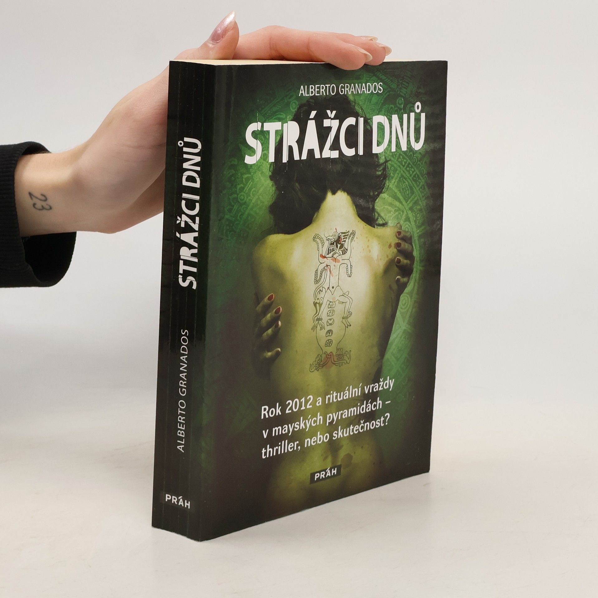 Strážci dnů : rok 2012 a rituální vraždy v mayských pyramidách - thriller, nebo skutečnost?