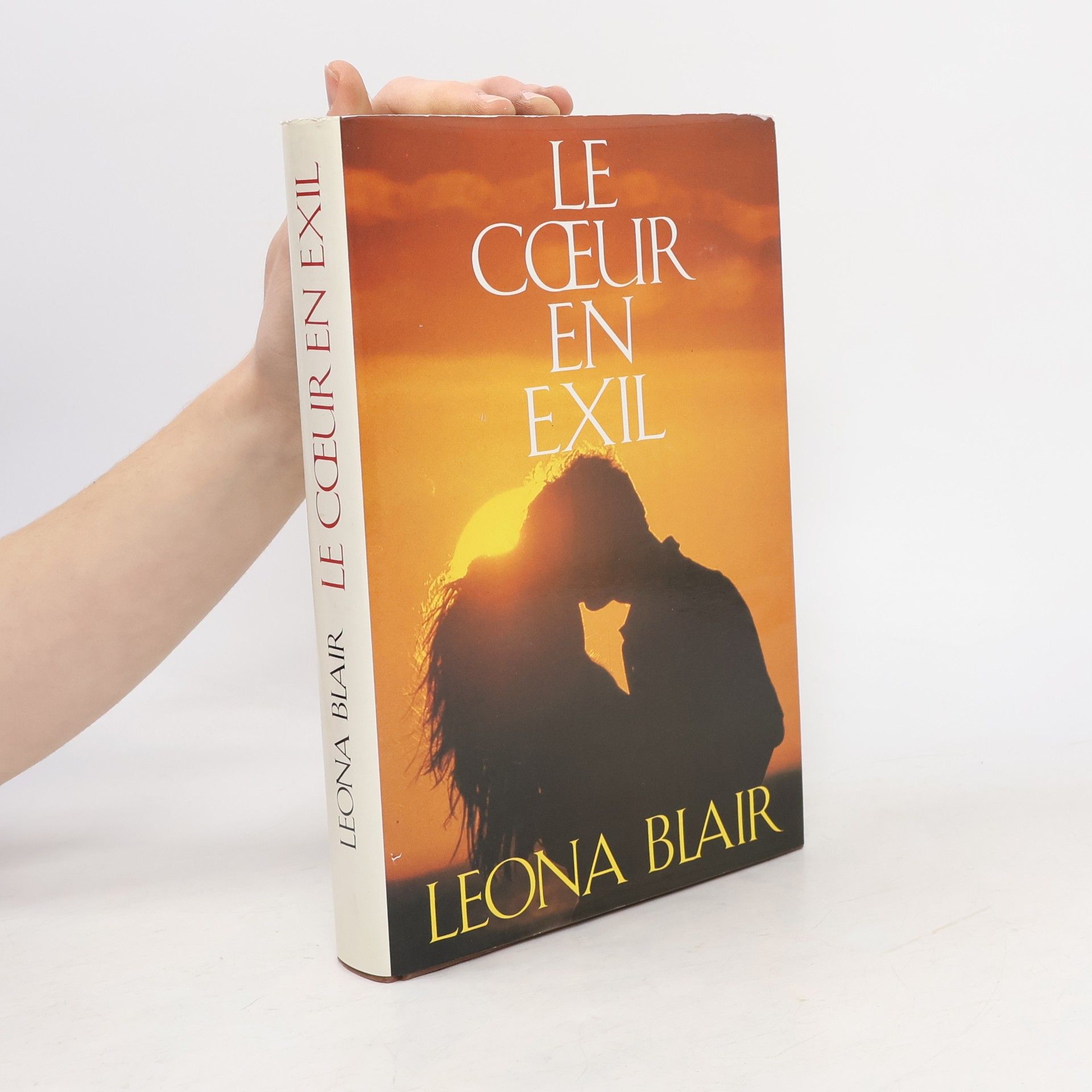 Pascale Debrock Le Cœur en Exil