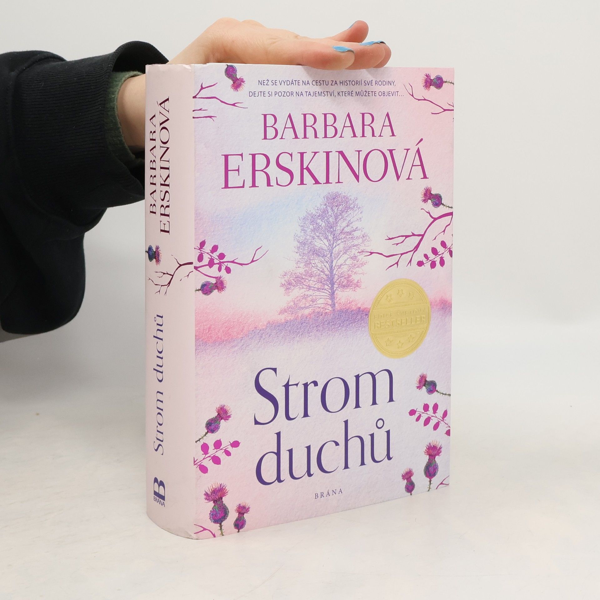 Barbara Erskine Strom duchů