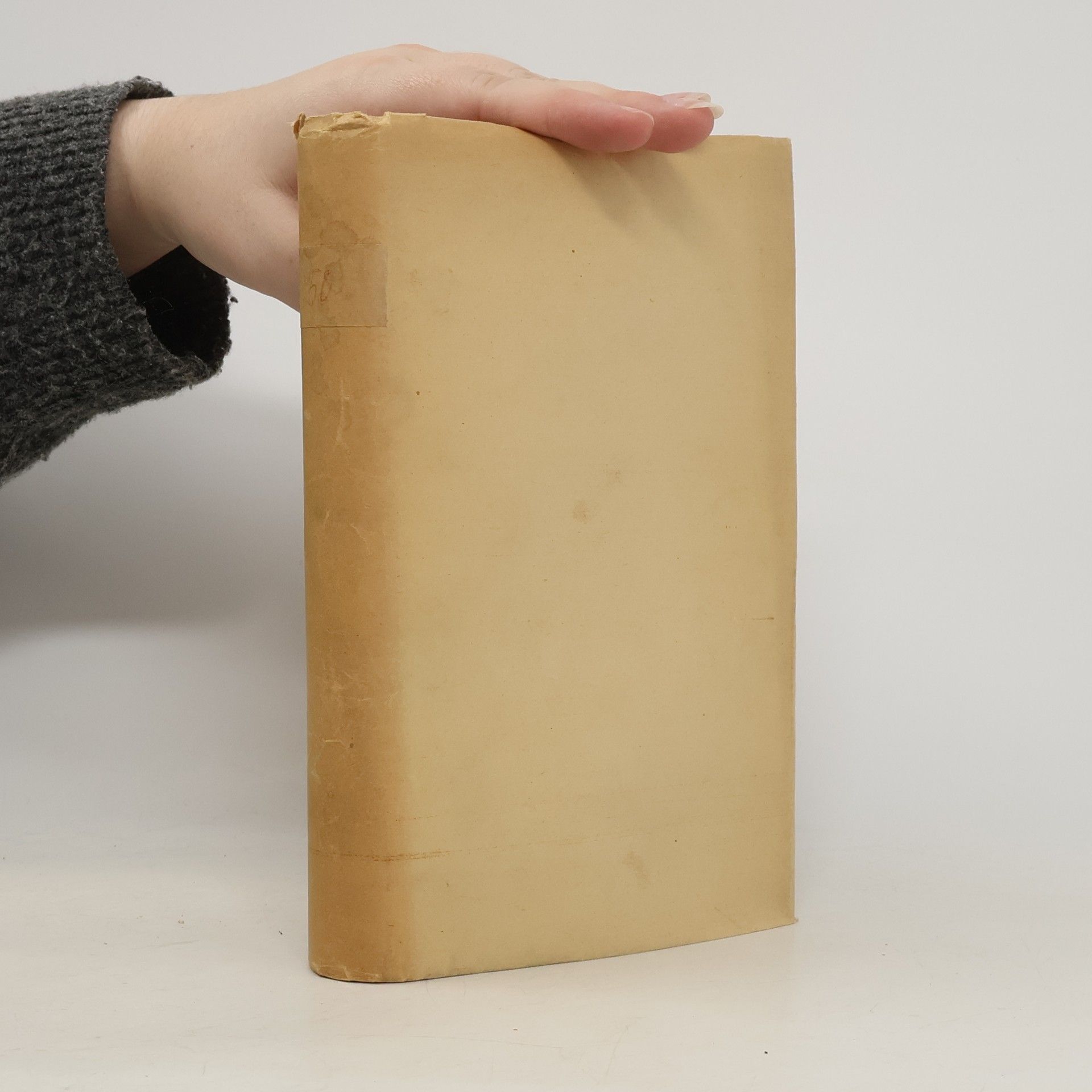 Anna Maria Tilschova Haldy