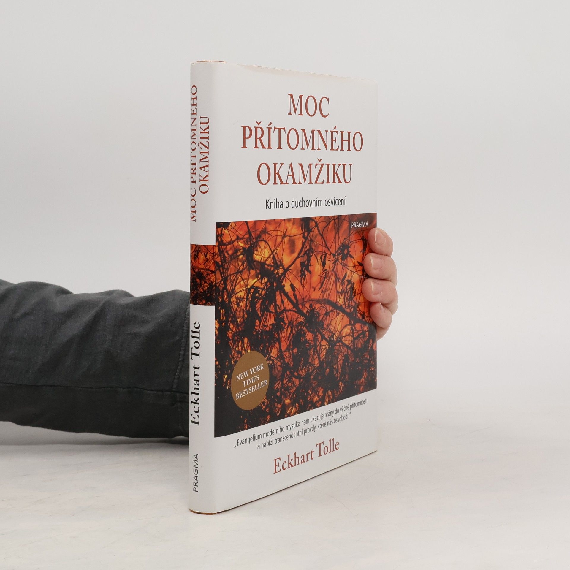 Eckhart Tolle Moc přítomného okamžiku