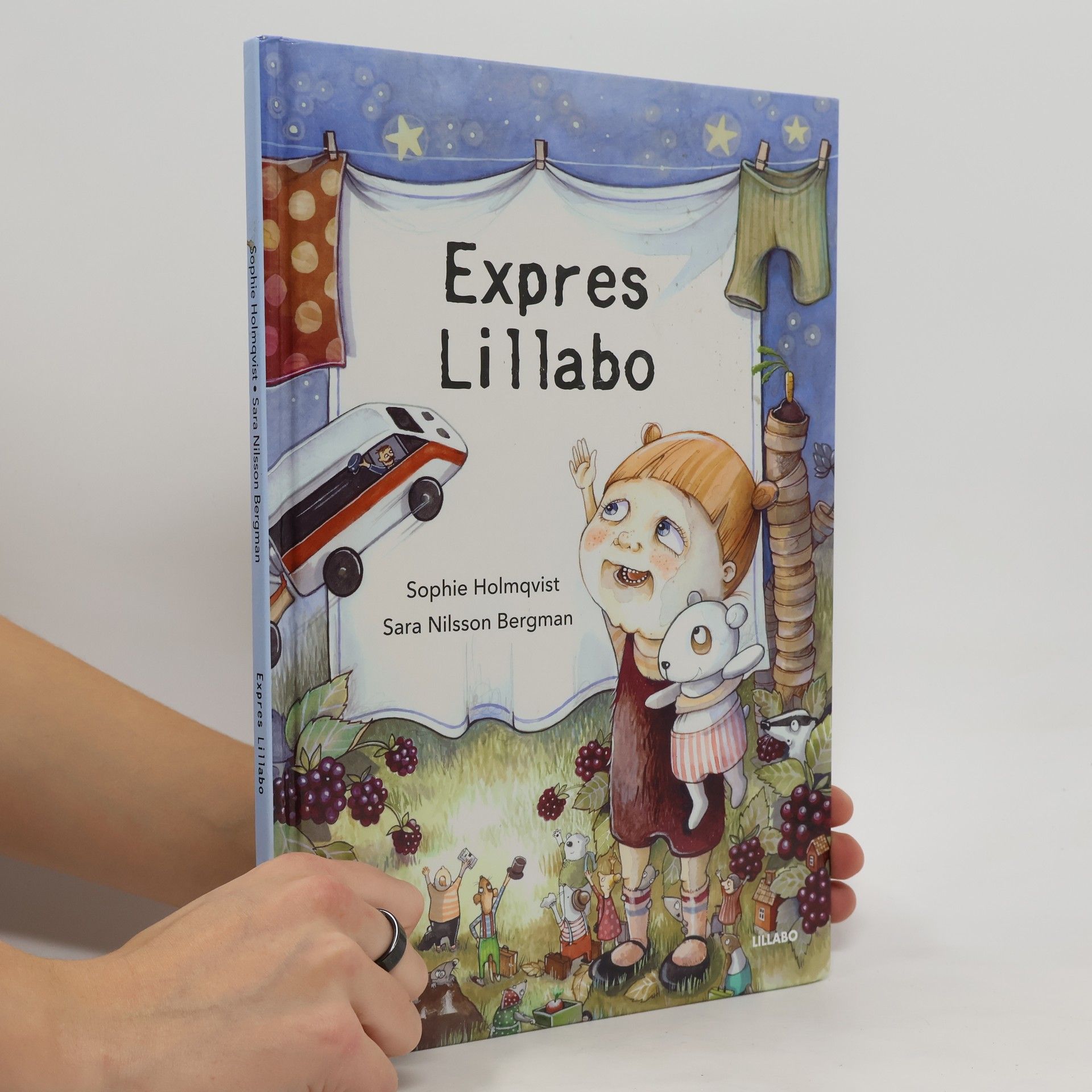 Sophie Holmqvist Express Lillabo