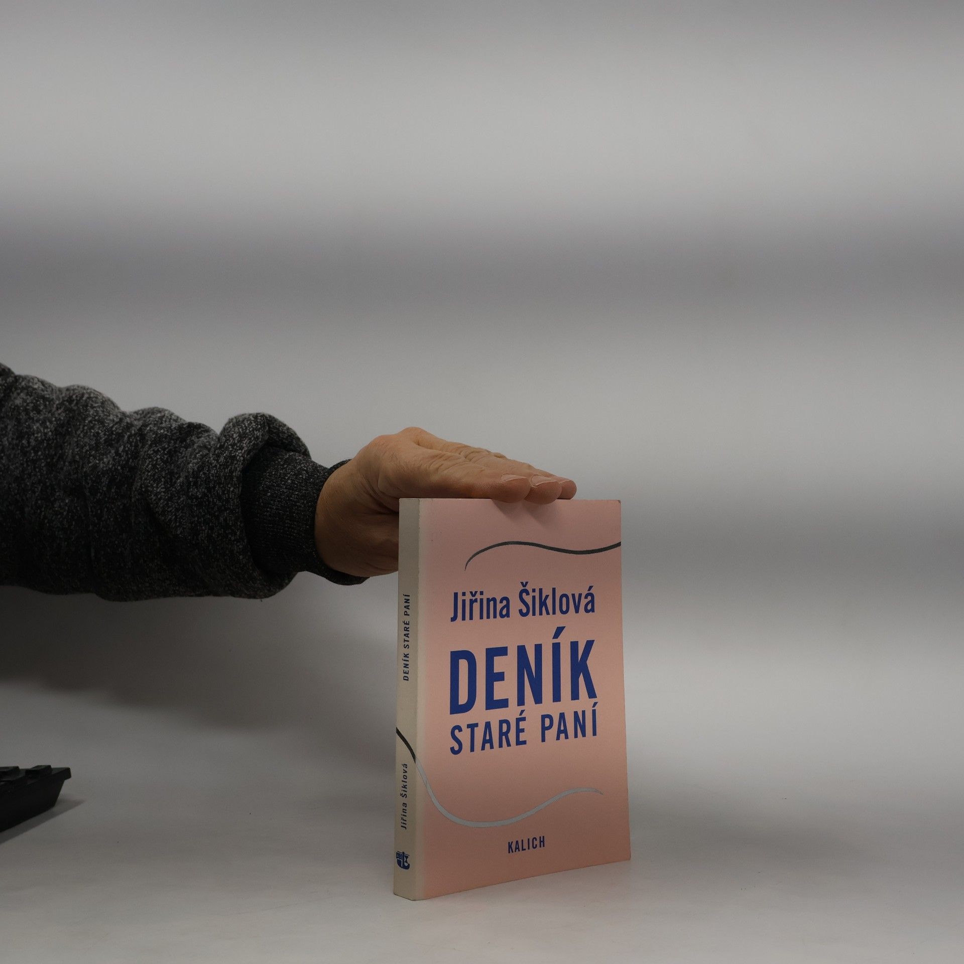 Jiřina Šiklová Deník staré paní