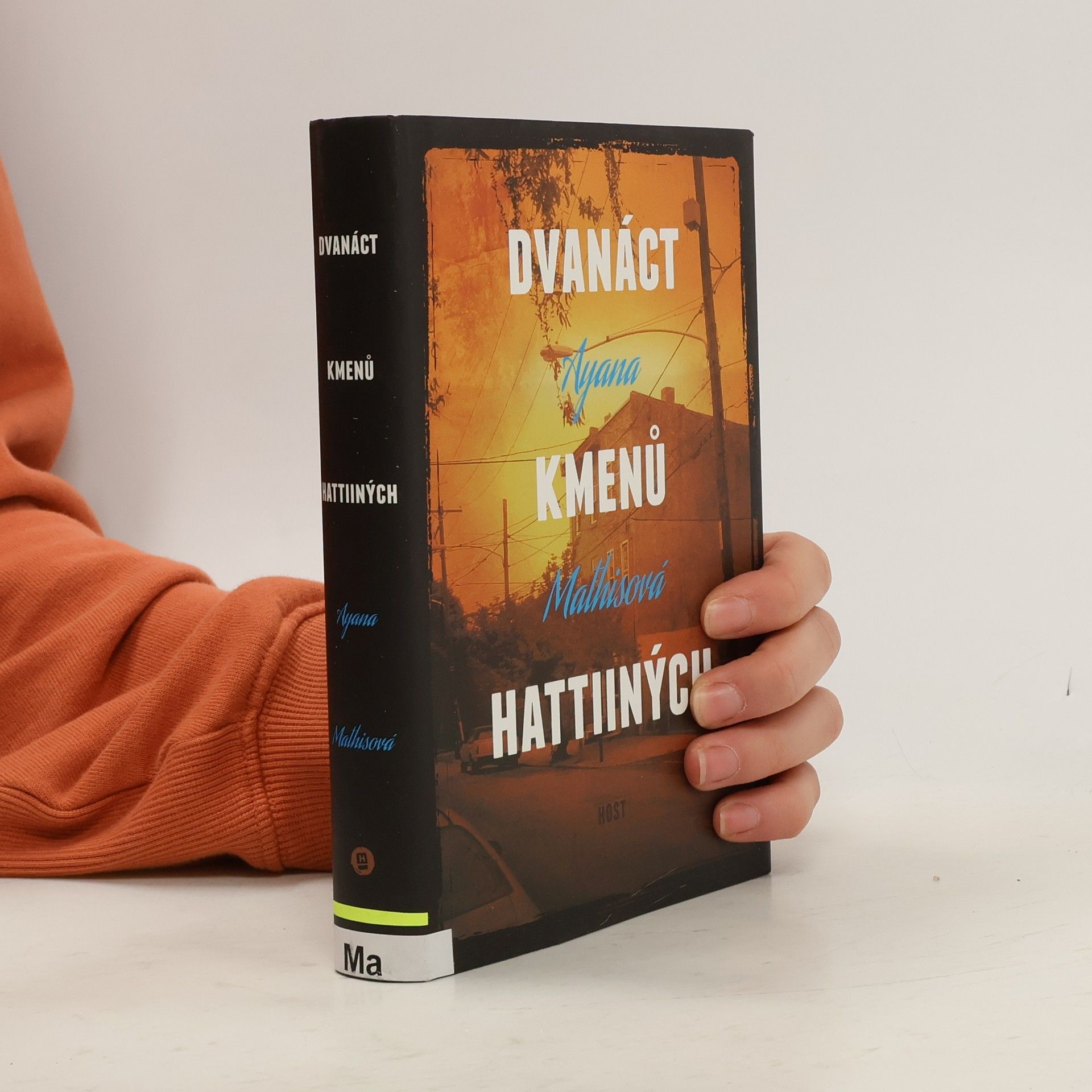 Ayana Mathis Dvanáct kmenů Hattiiných