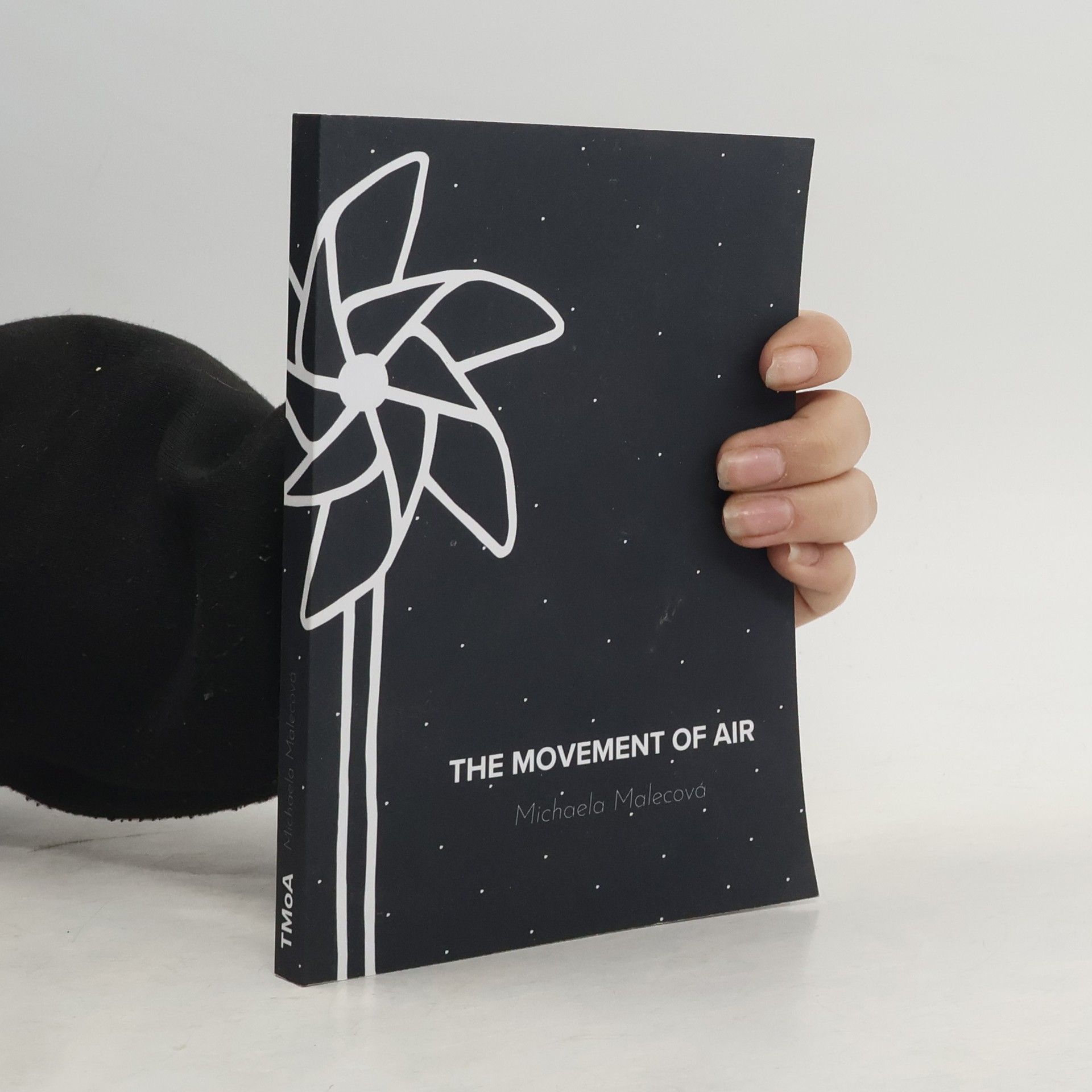 Michaela Malecová The Movement of Air