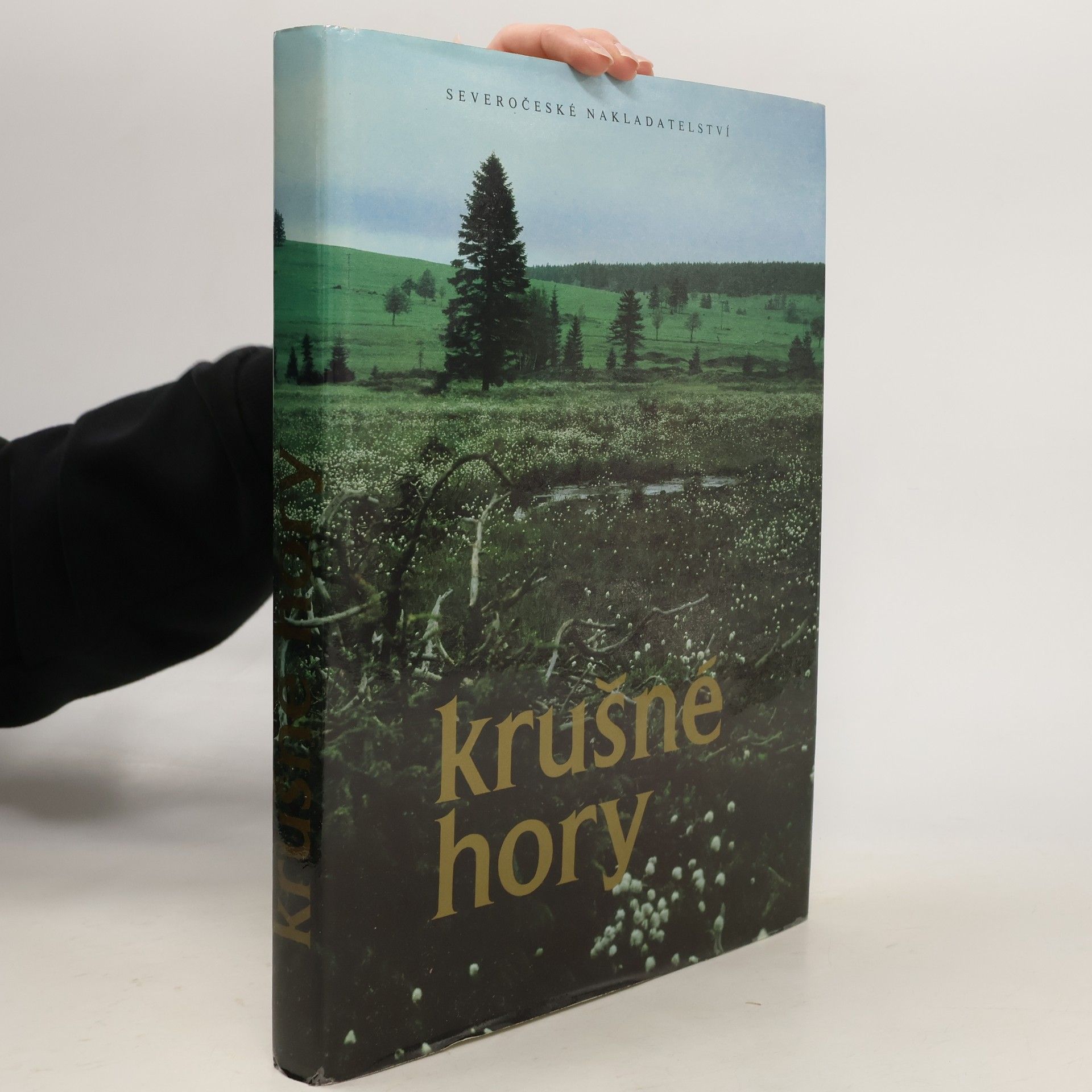 Václav Houžvička Krušné hory