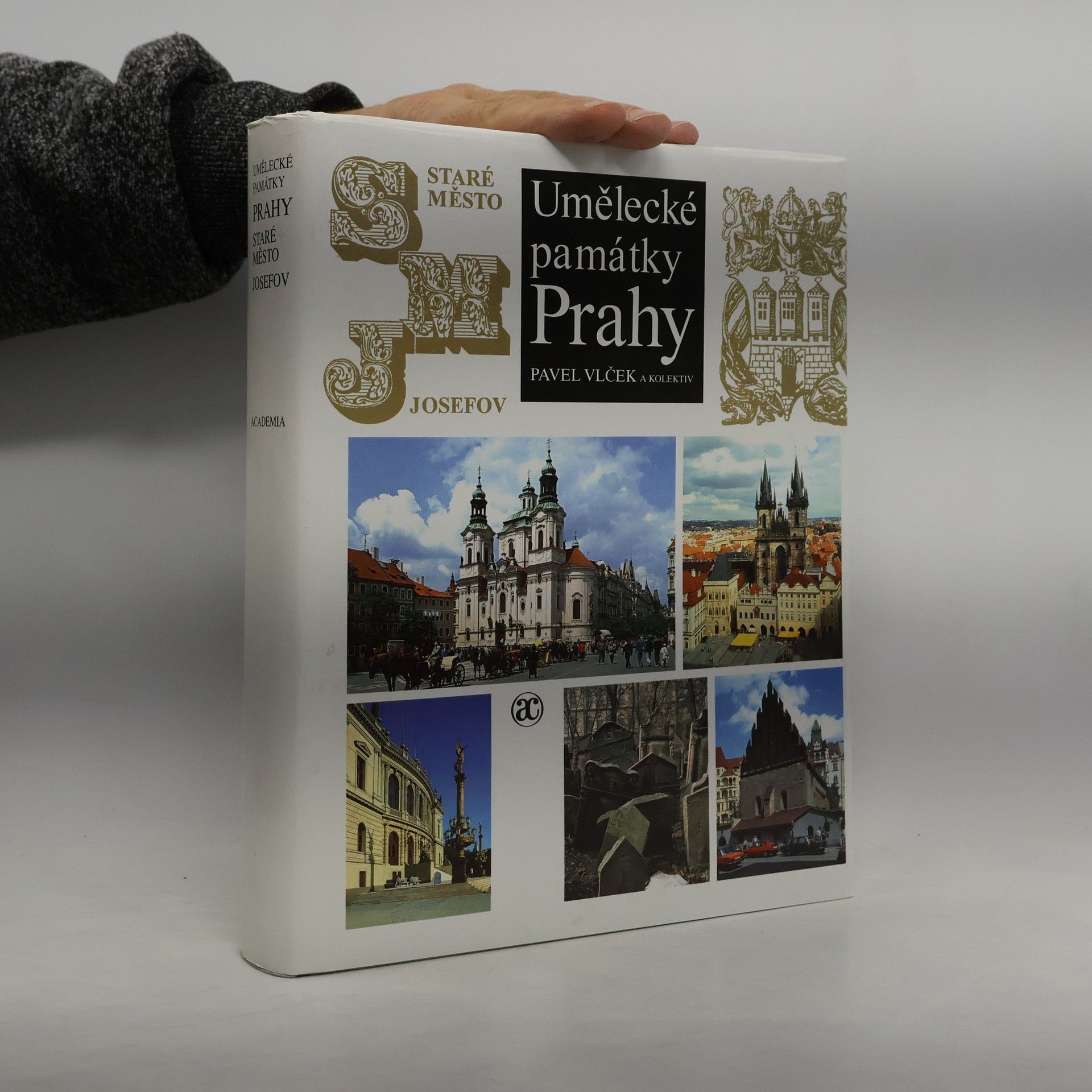 Pavel Vlček Umělecké památky Prahy. Staré město - Josefov.