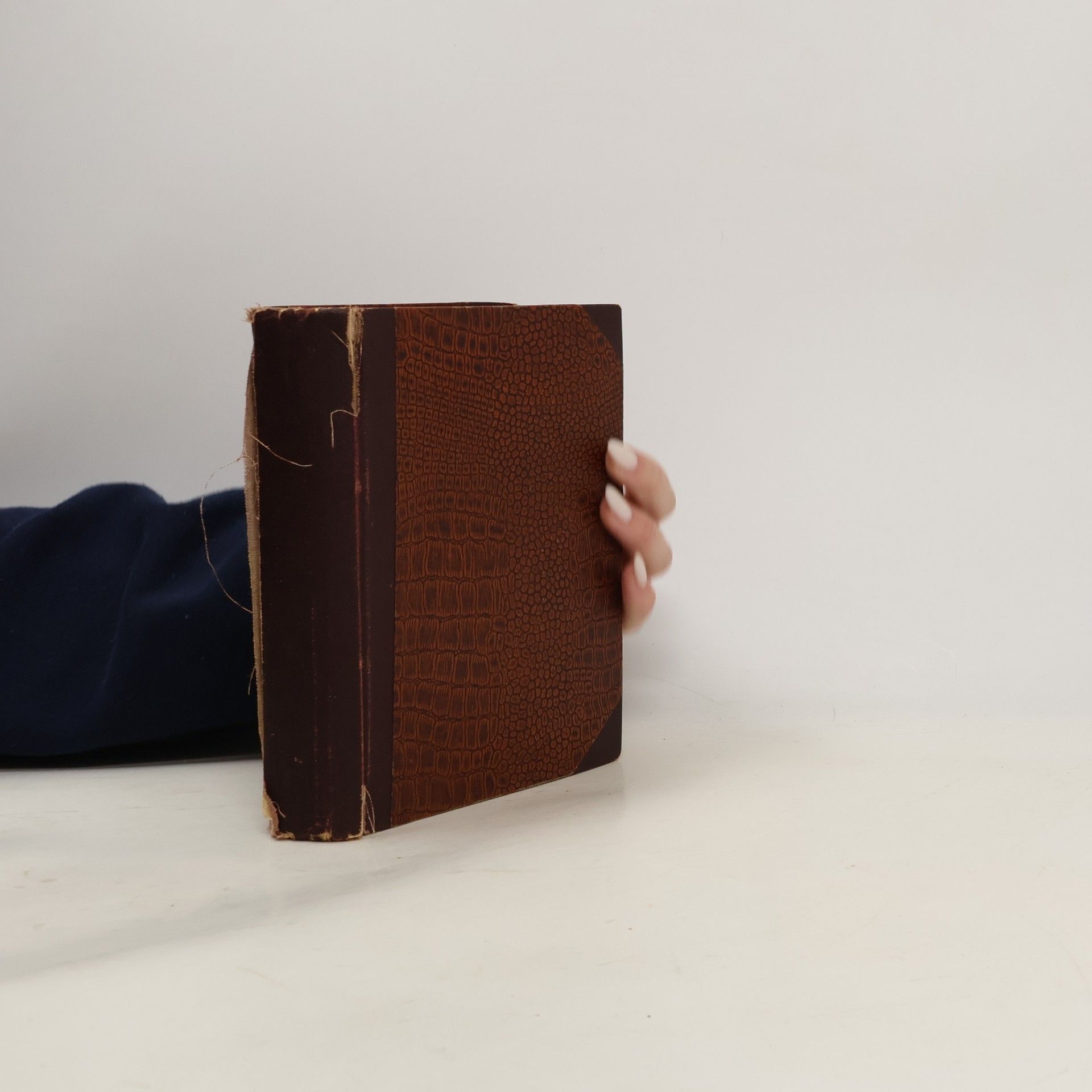 Bohumil Zahradník Brodský Ten druhý. Trosečník