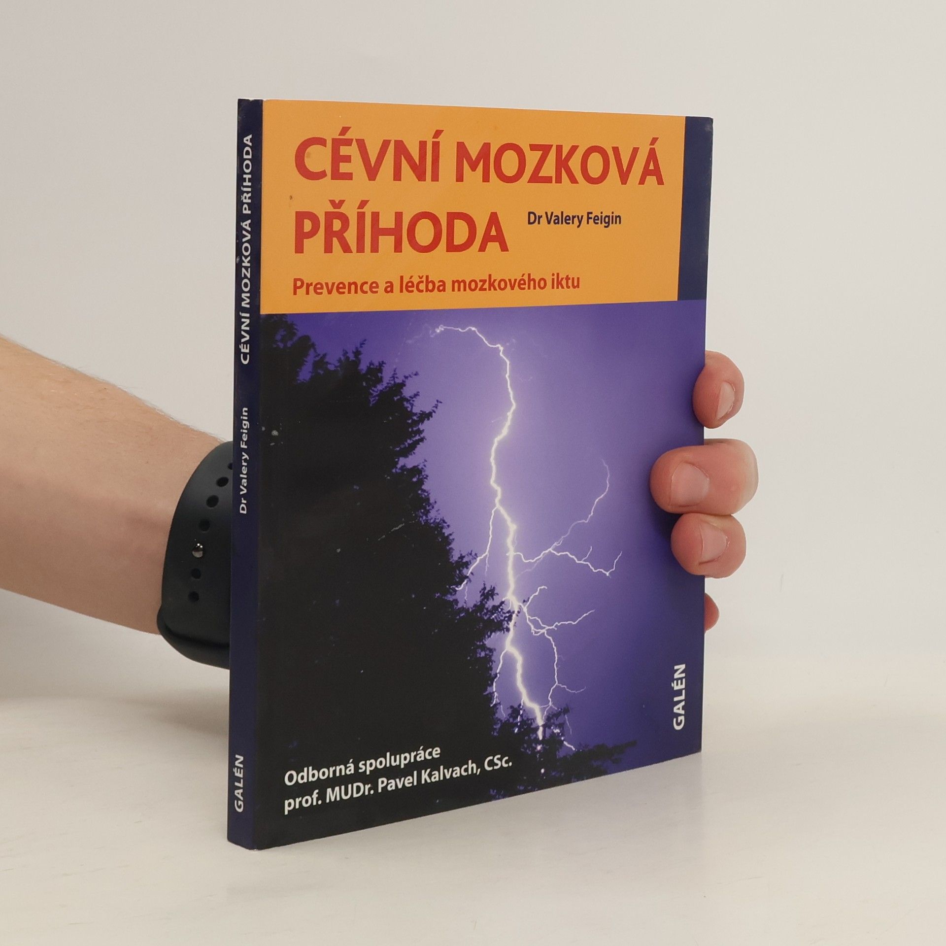Valery L. Feigin Cévní mozková příhoda - Prevence a léčba mozkového iktu
