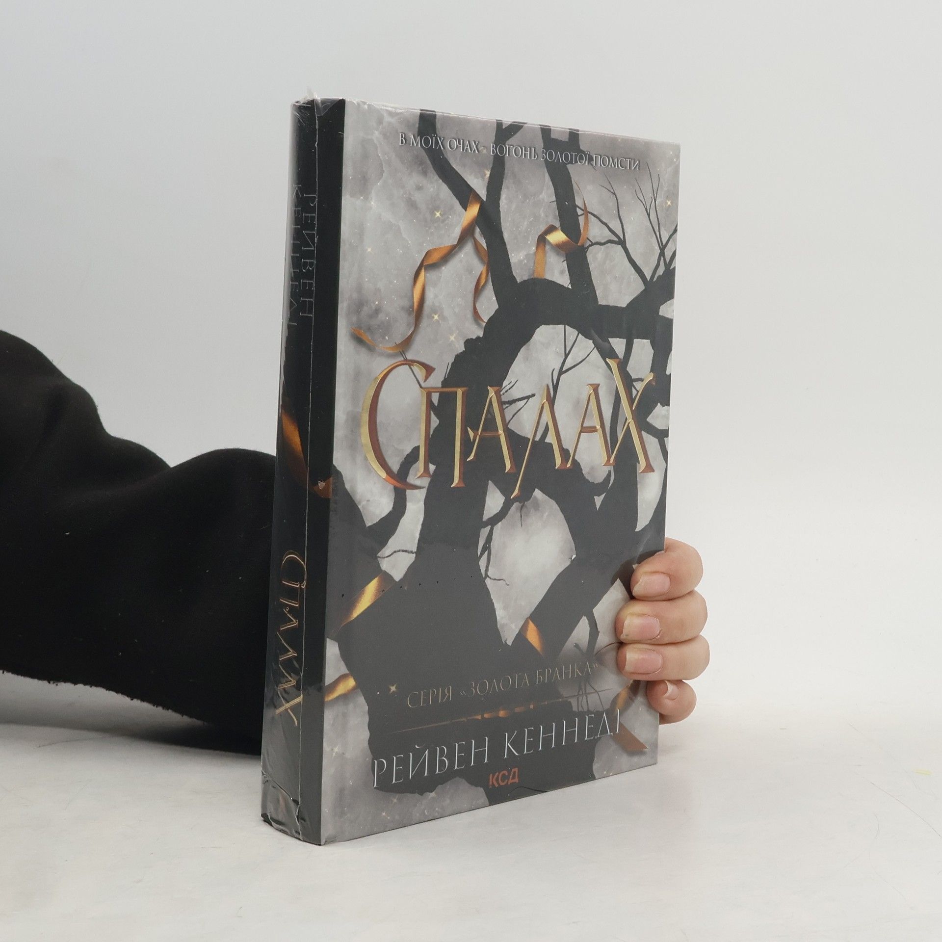 Raven Kennedy Золота бранка: Спалах