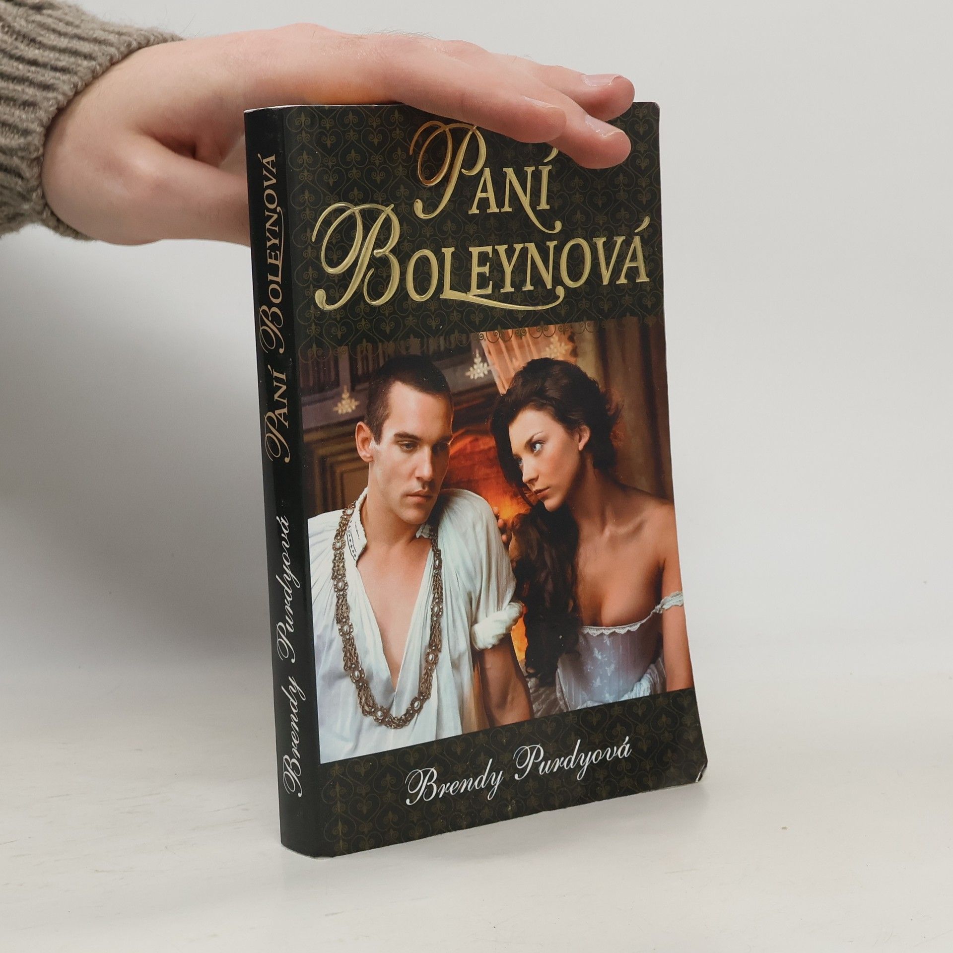 Paní Boleynová : příběh velké lásky a ještě větší nenávisti