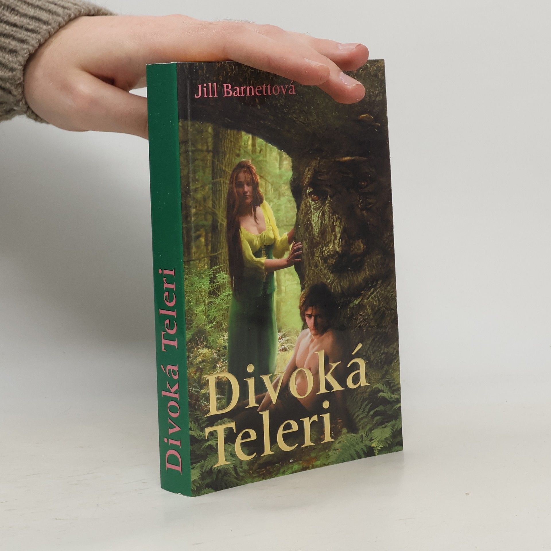 Jill Barnett Divoká Teleri