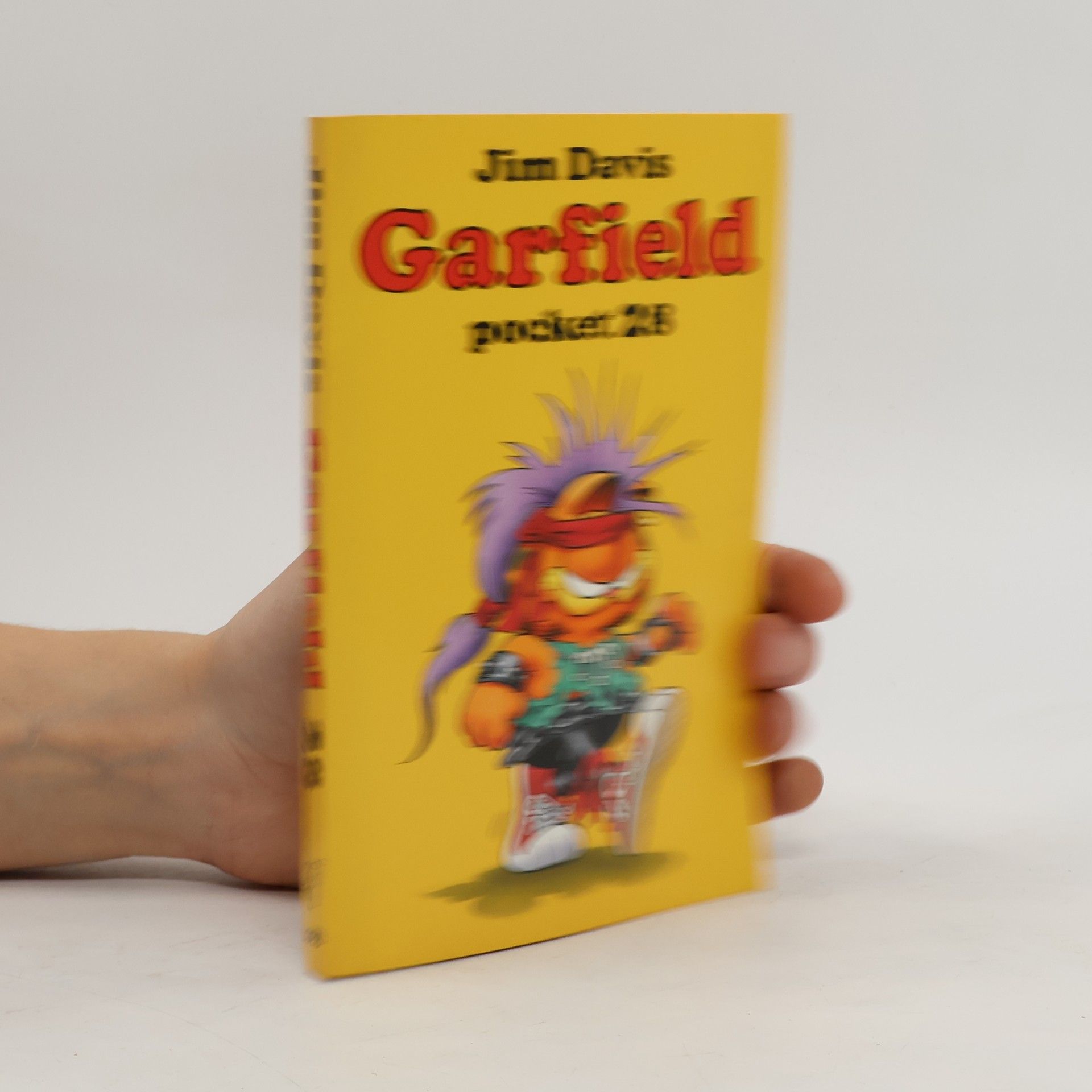 Jim Davis Garfield 28