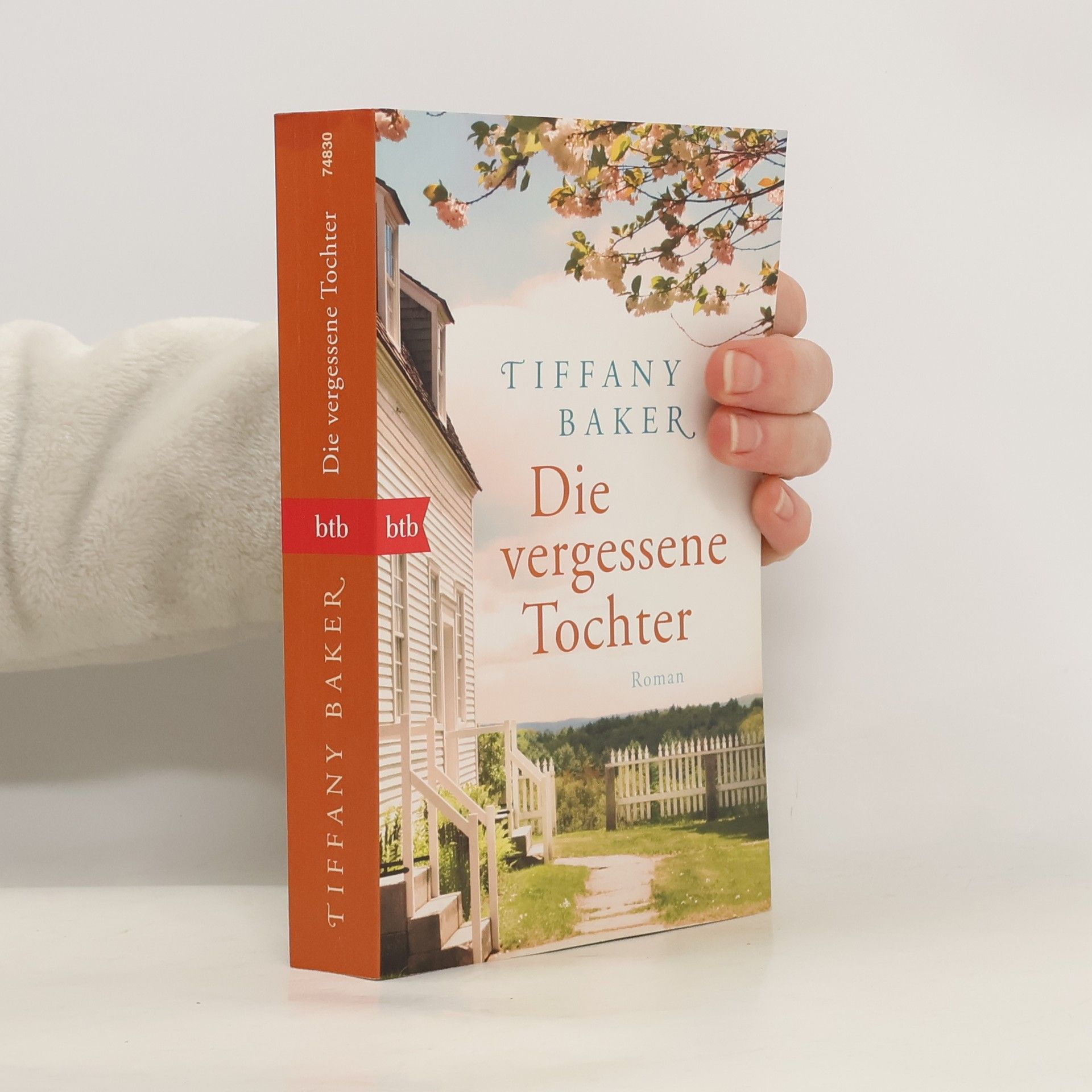 Tiffany Baker Die vergessene Tochter