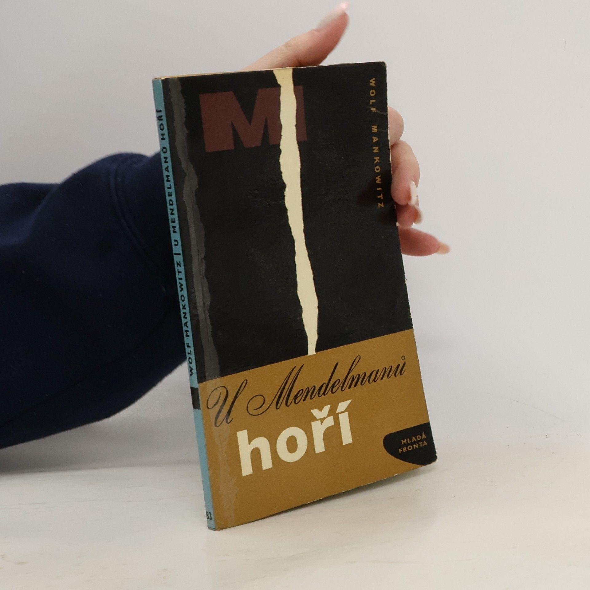 U Mendelmanů hoří