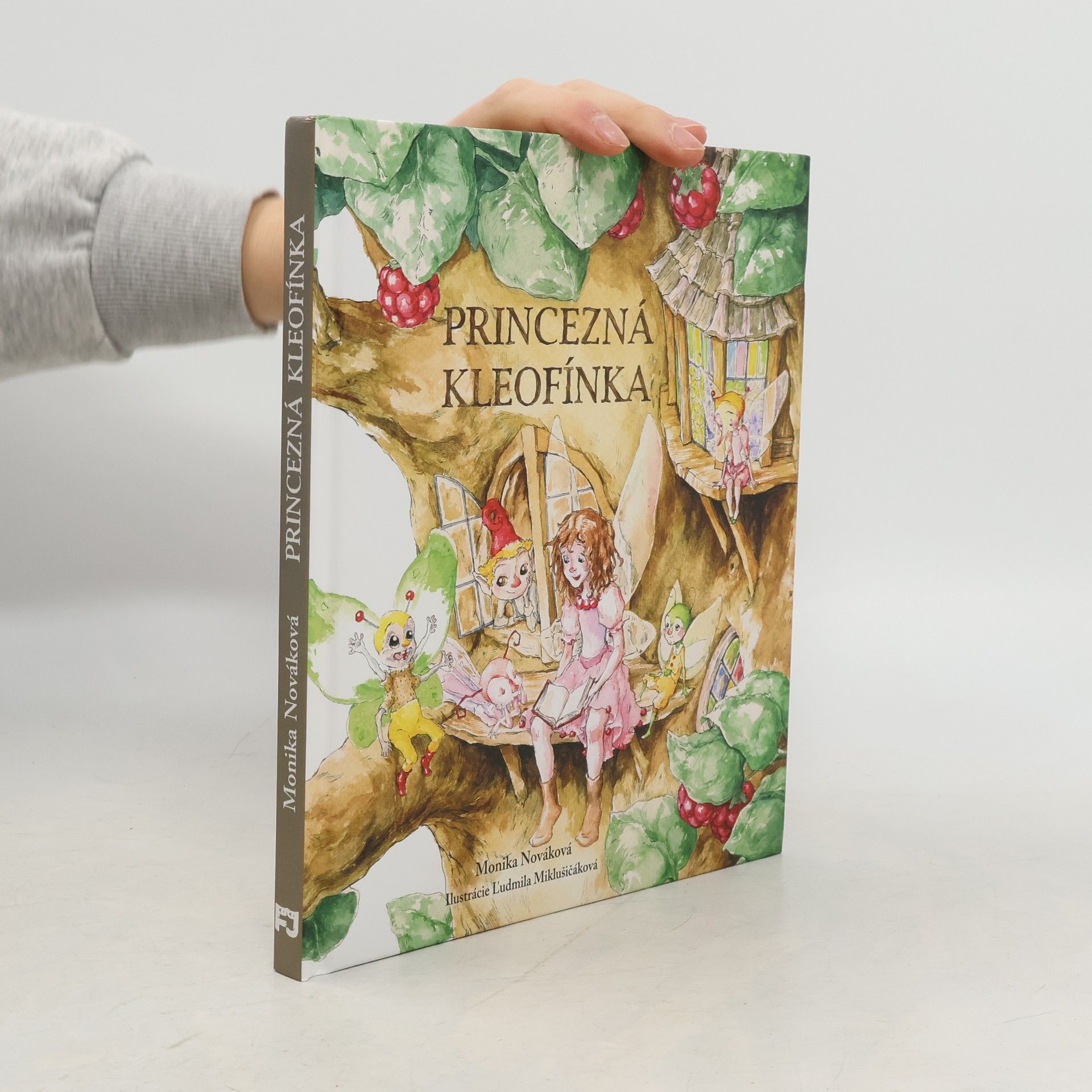 Monika Nováková Princezná Kleofínka