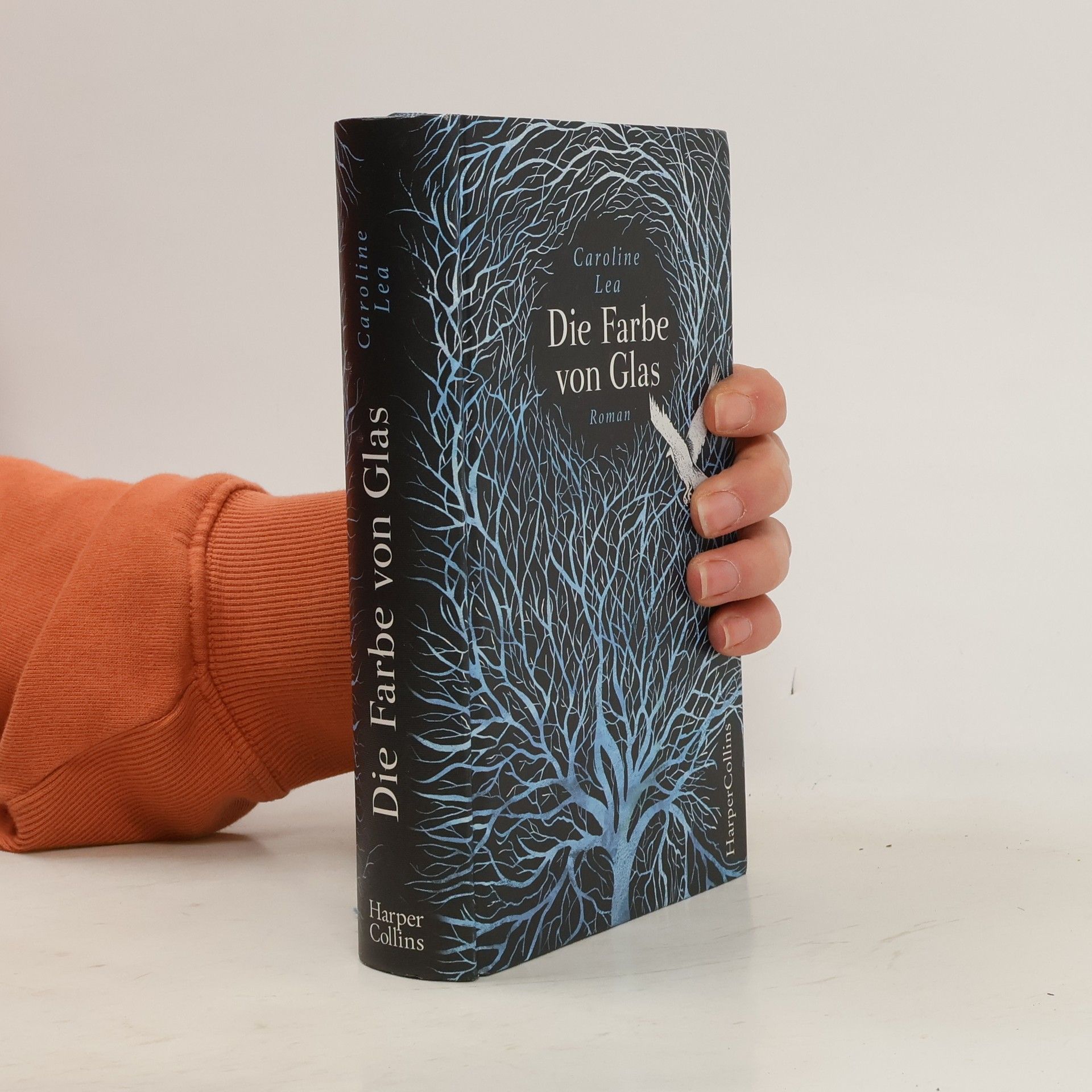 Caroline Lea Die Farbe von Glas