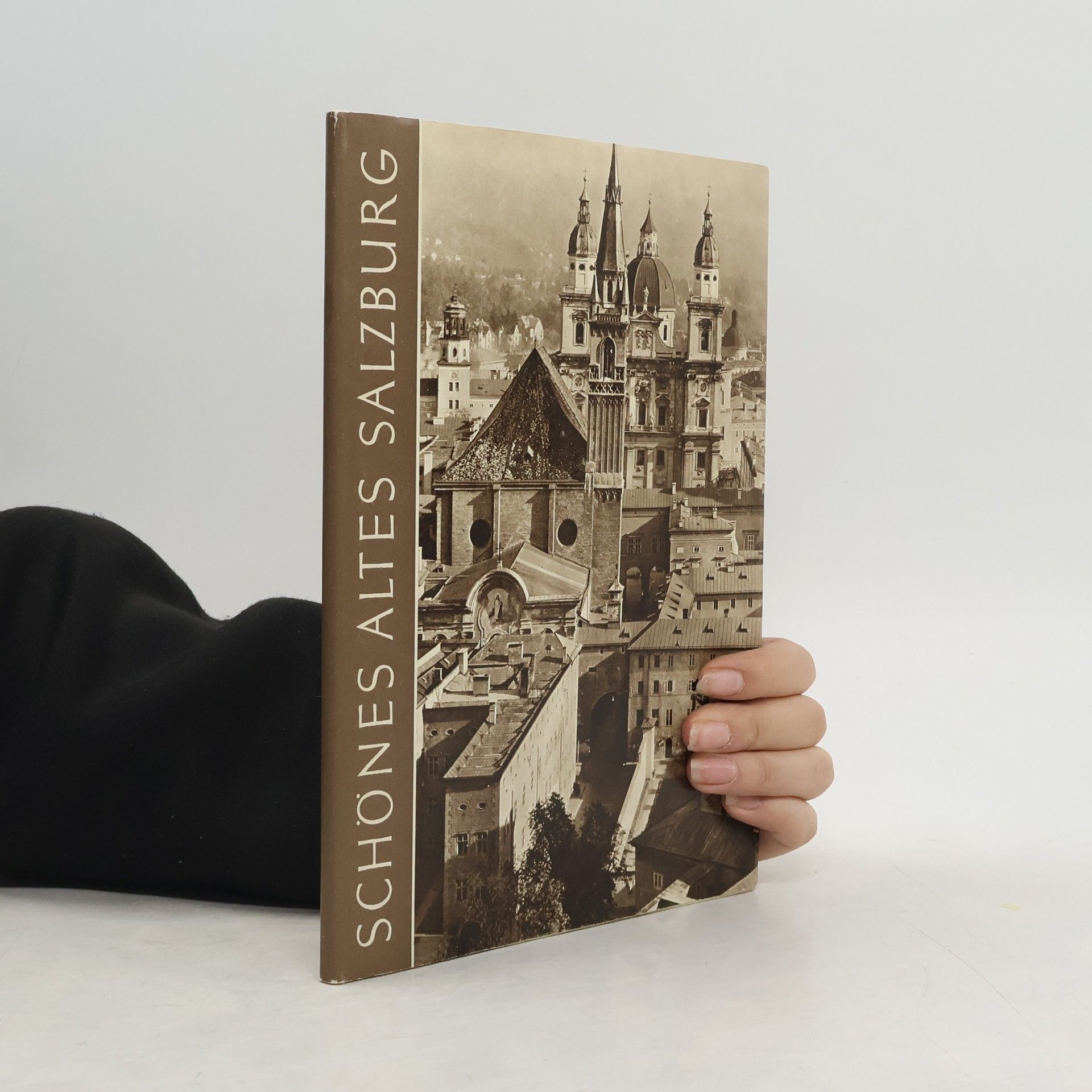Alois Schmiedbauer Schönes altes Salzburg