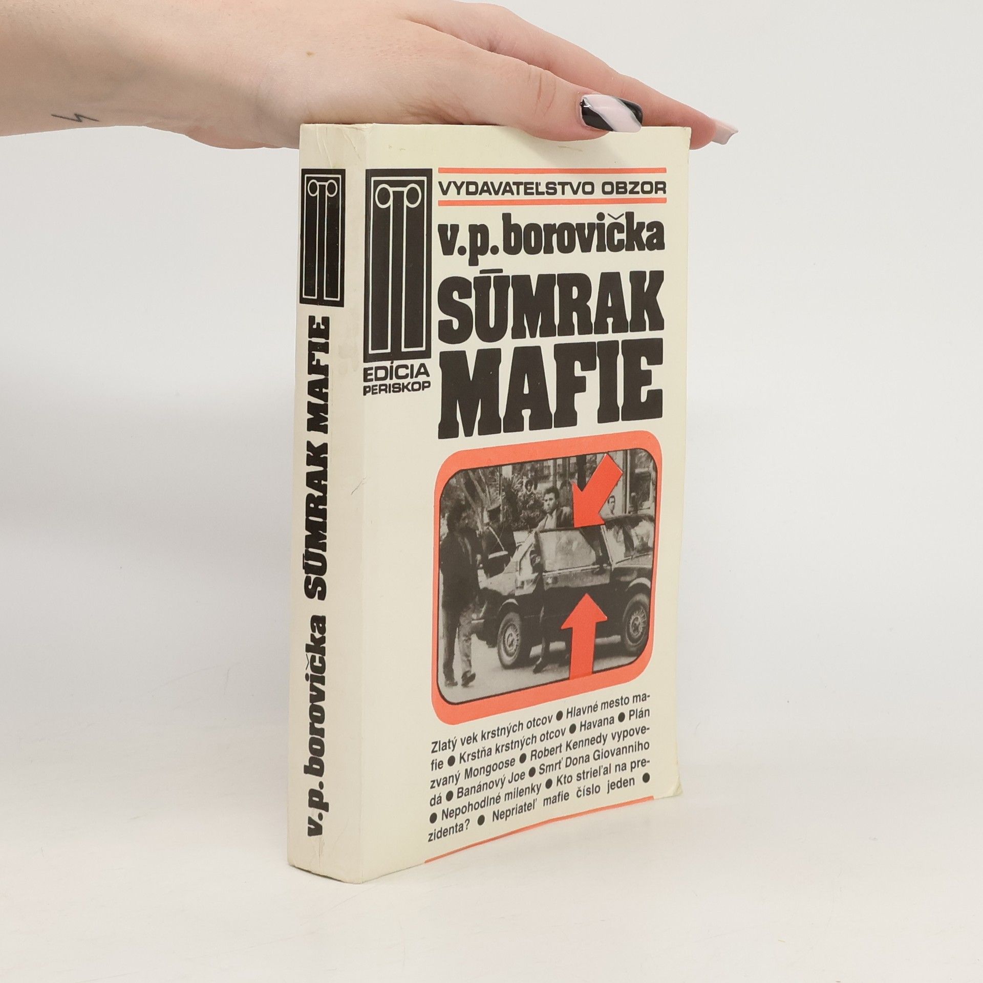 Václav Pavel Borovička Súmrak mafie