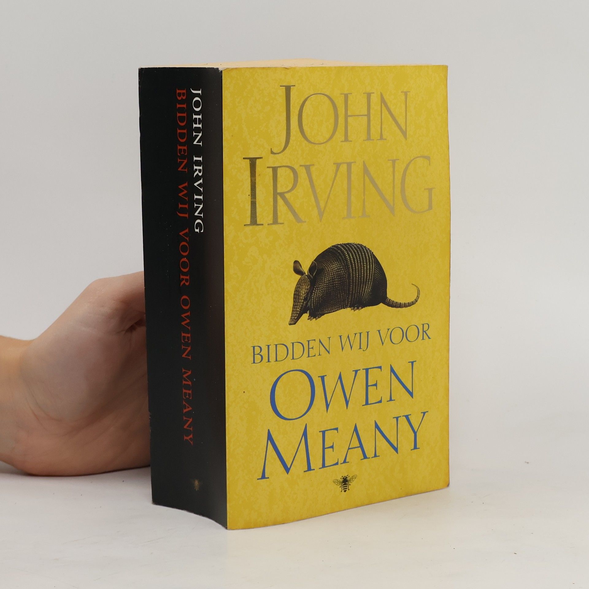 John Irving Bidden wij voor Owen Meany
