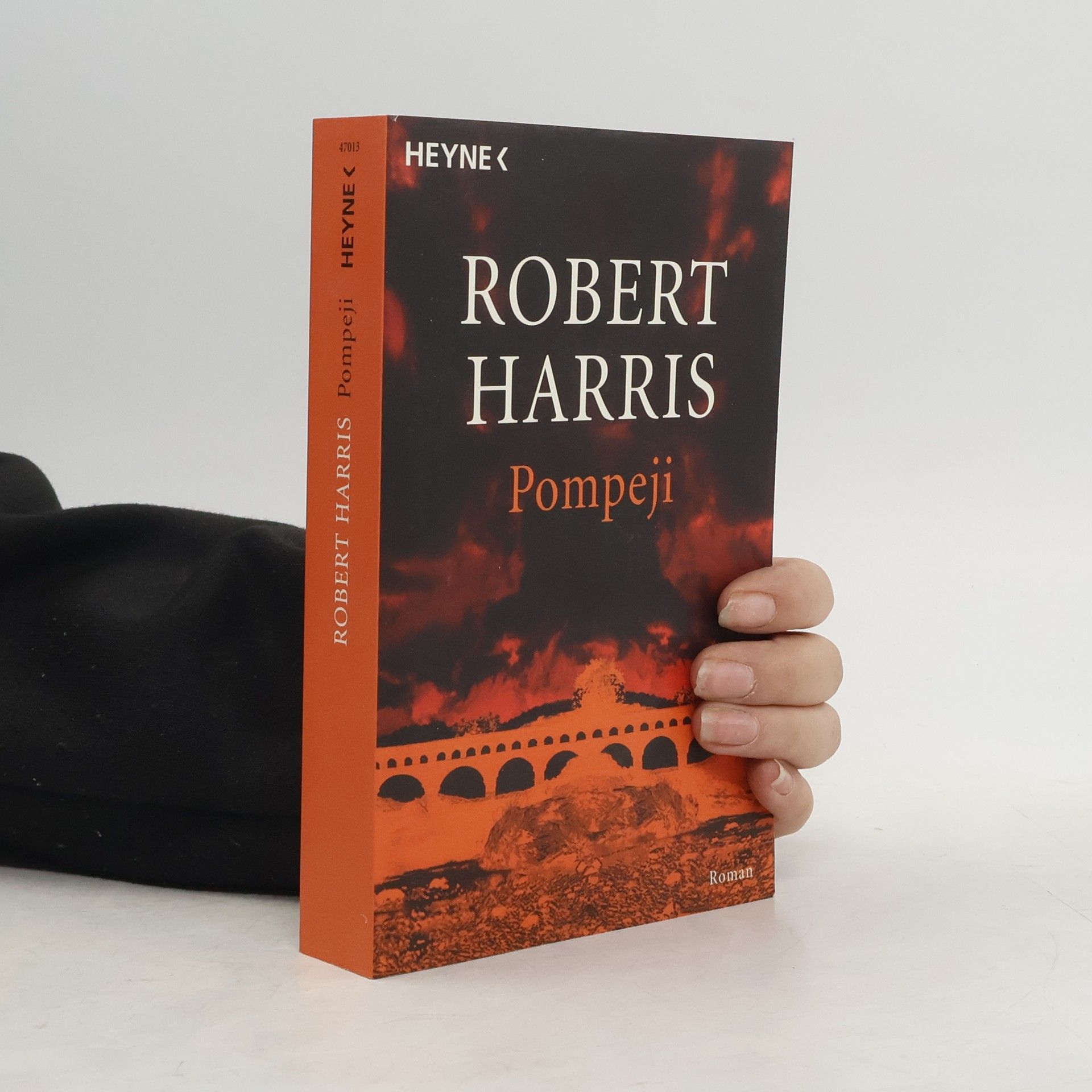 Robert Harris Pompeji