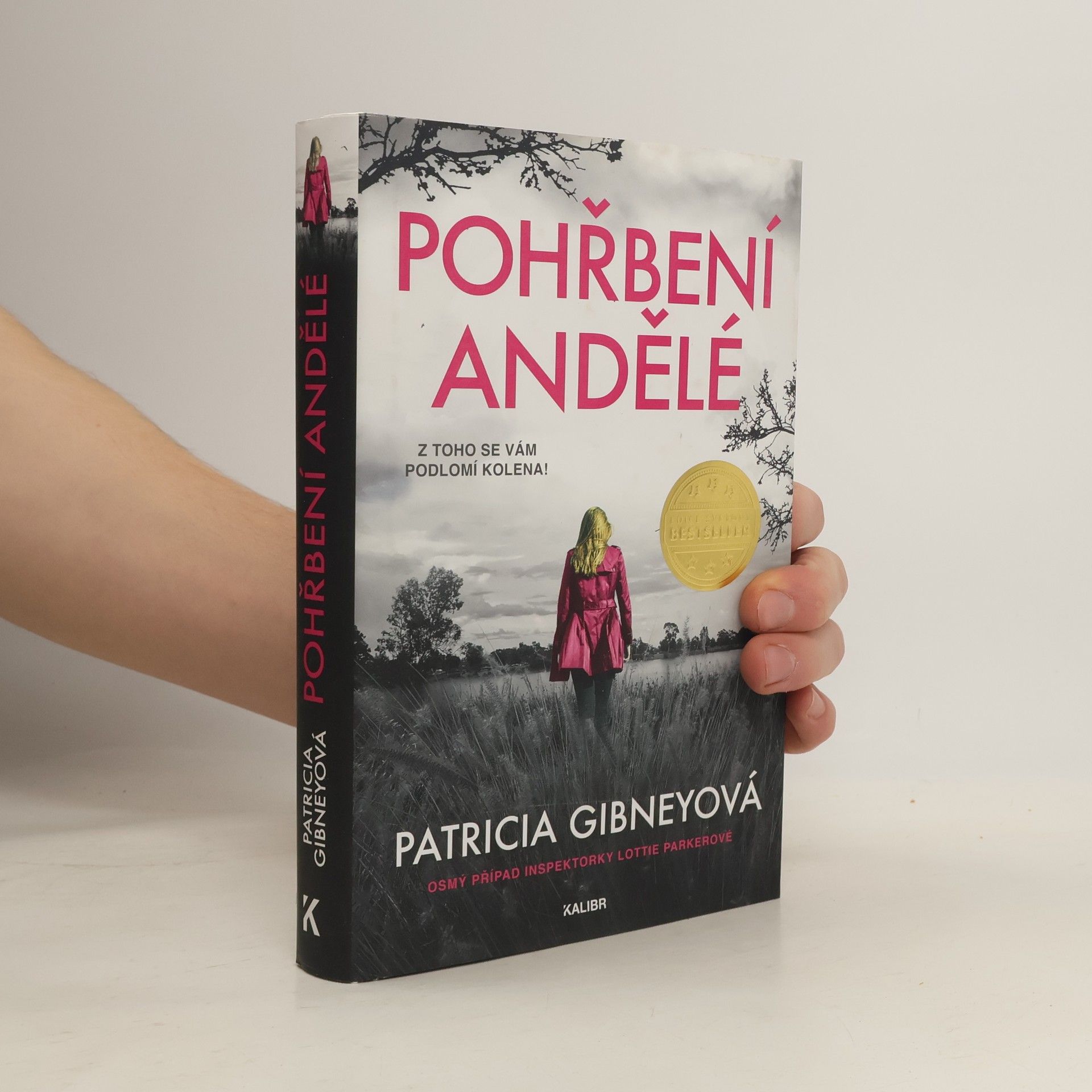 Drahomíra Michnová Pohřbení andělé