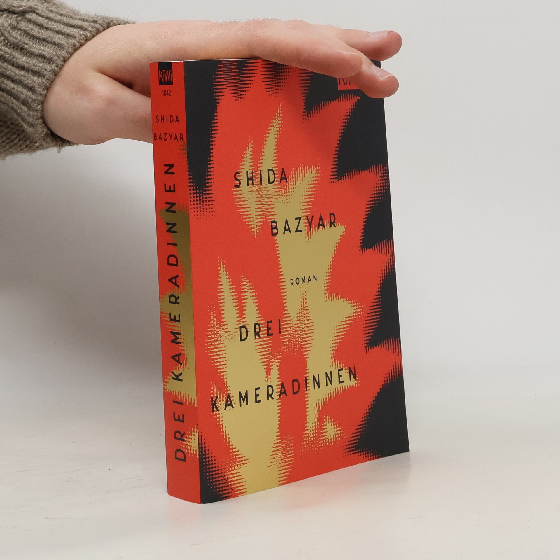 Shida Bazyar Drei Kameradinnen