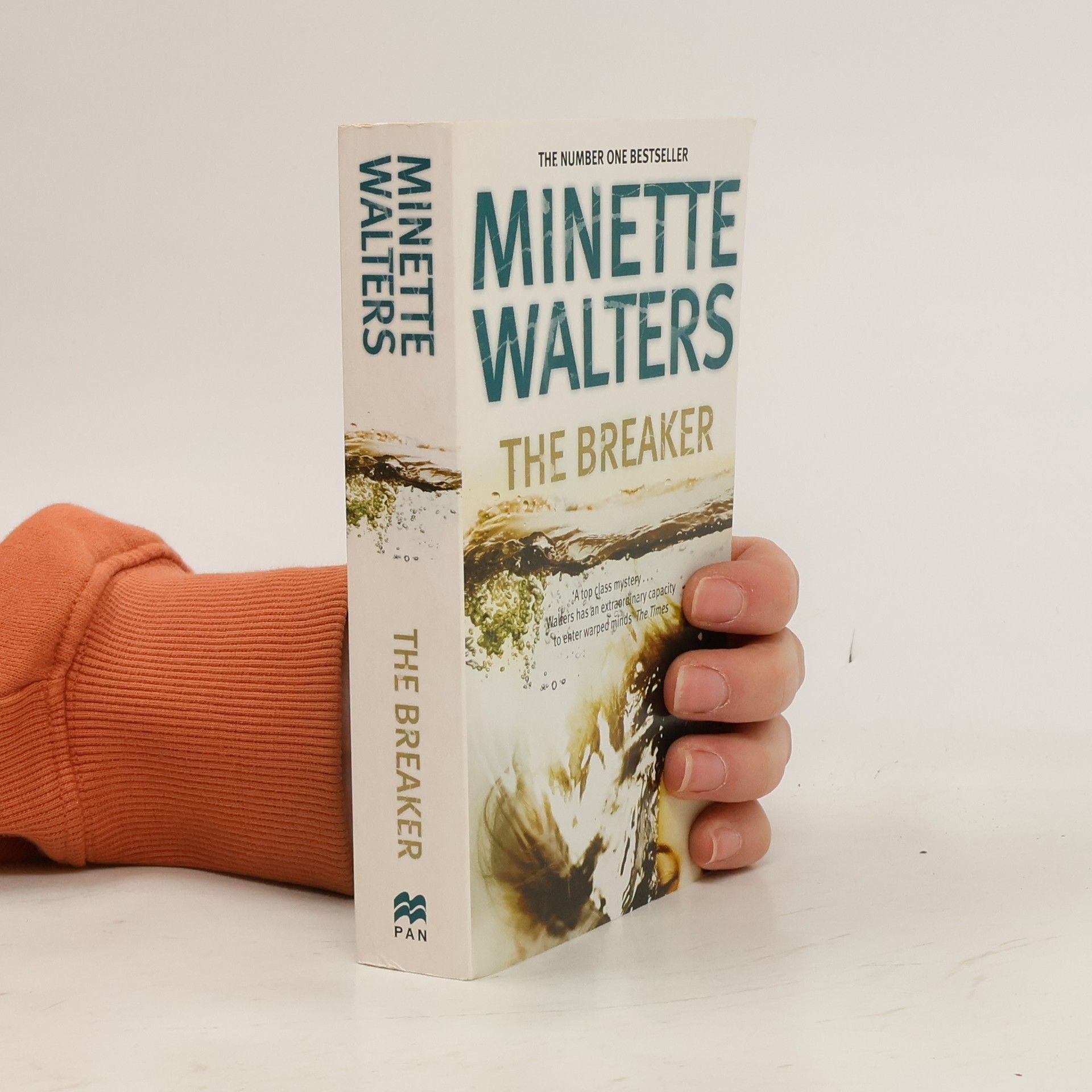 Minette Walter The Breaker