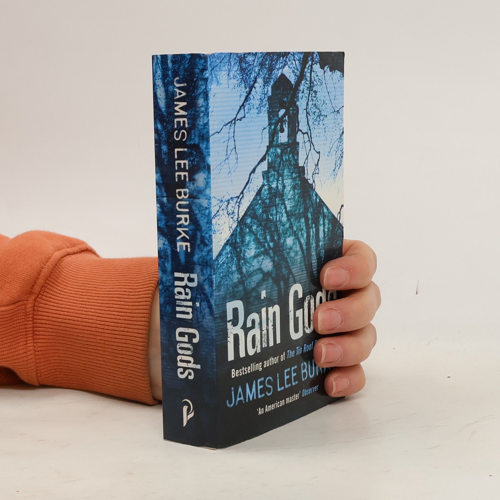 James Lee Burke Rain Gods