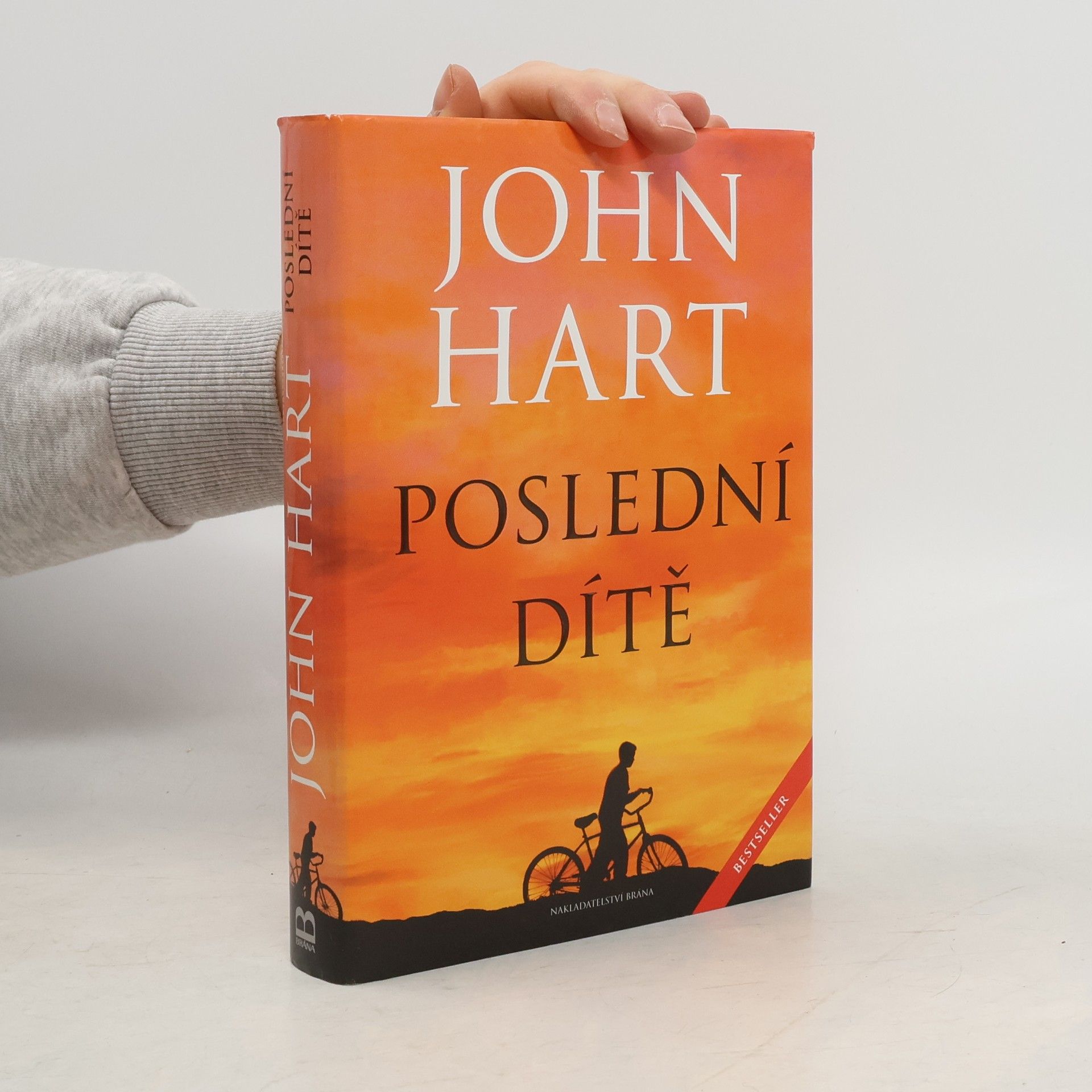 John Hart Poslední dítě