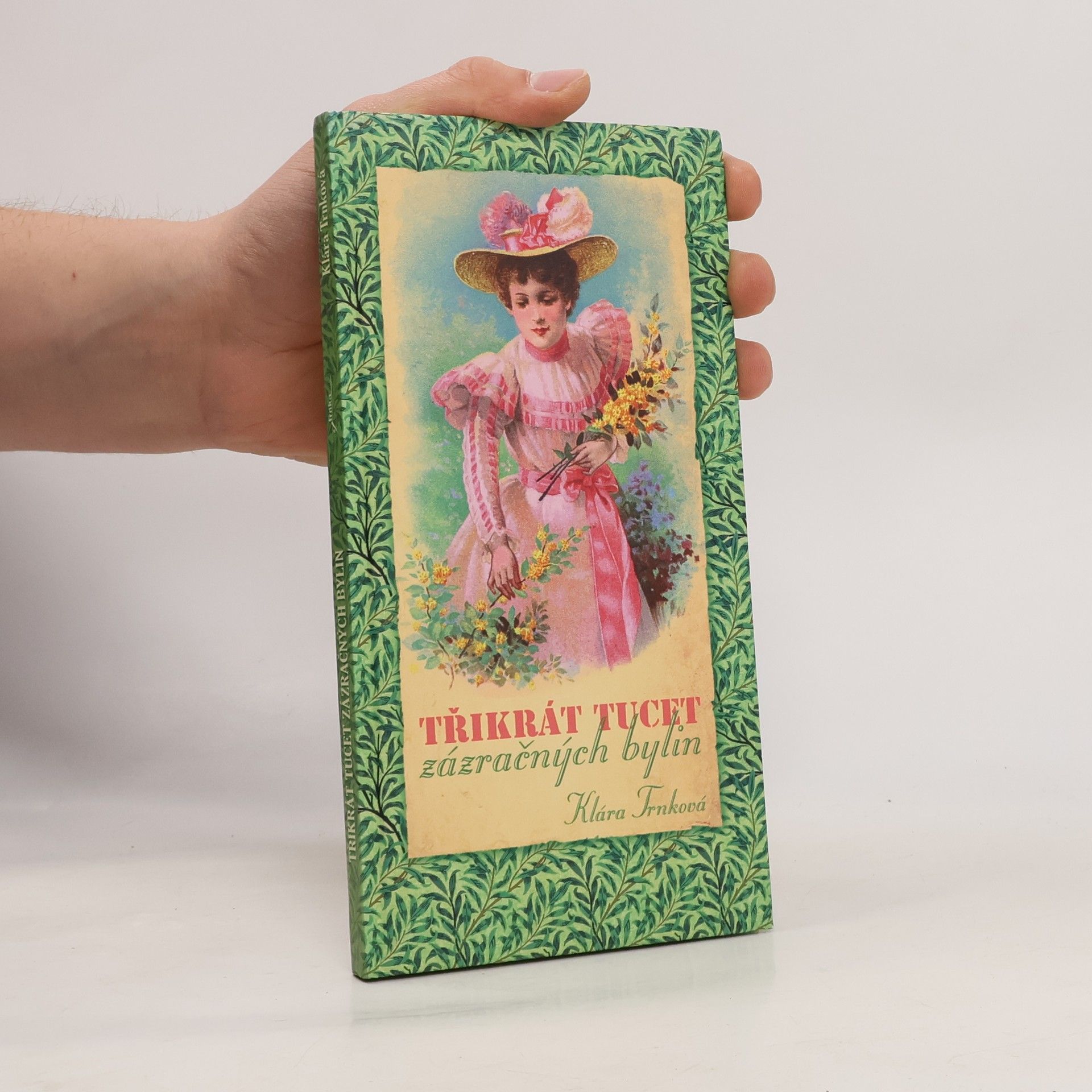 Klára Trnková Třikrát tucet zázračných bylin